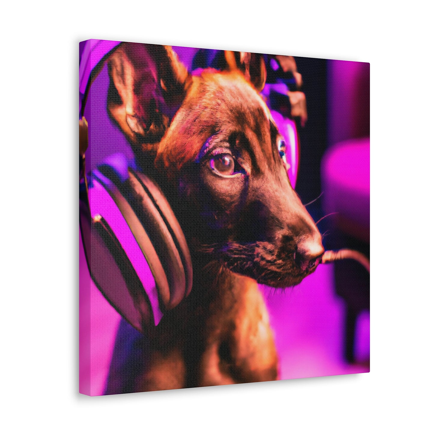 Count Henrietta de Ligne - Belgian Malinois - Canvas