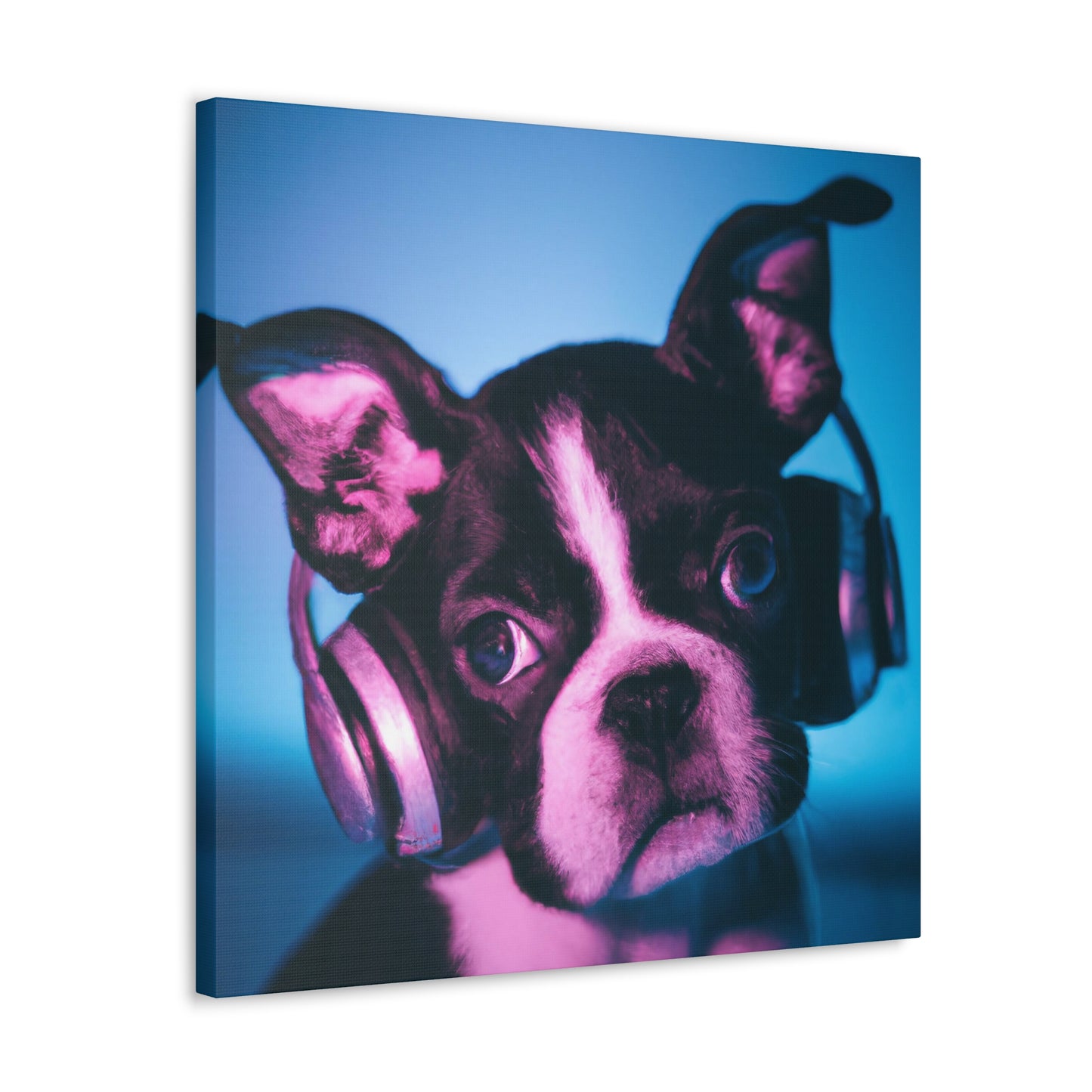 Jasper Regalbury - Boston Terrier - Canvas