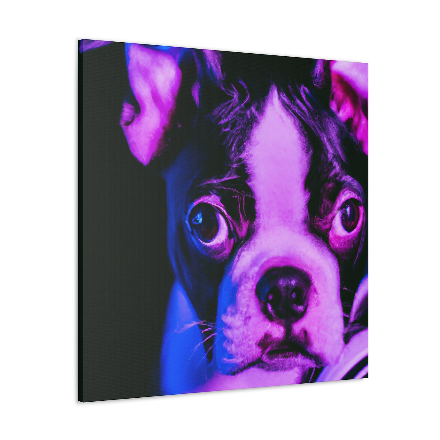 Lord Charles Fairfax of Boston - Boston Terrier - Canvas