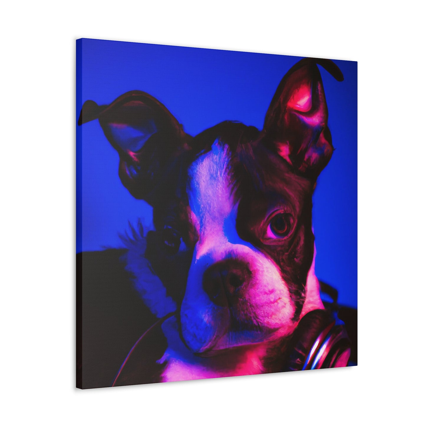 Princess Arabella of Boston - Boston Terrier - Canvas