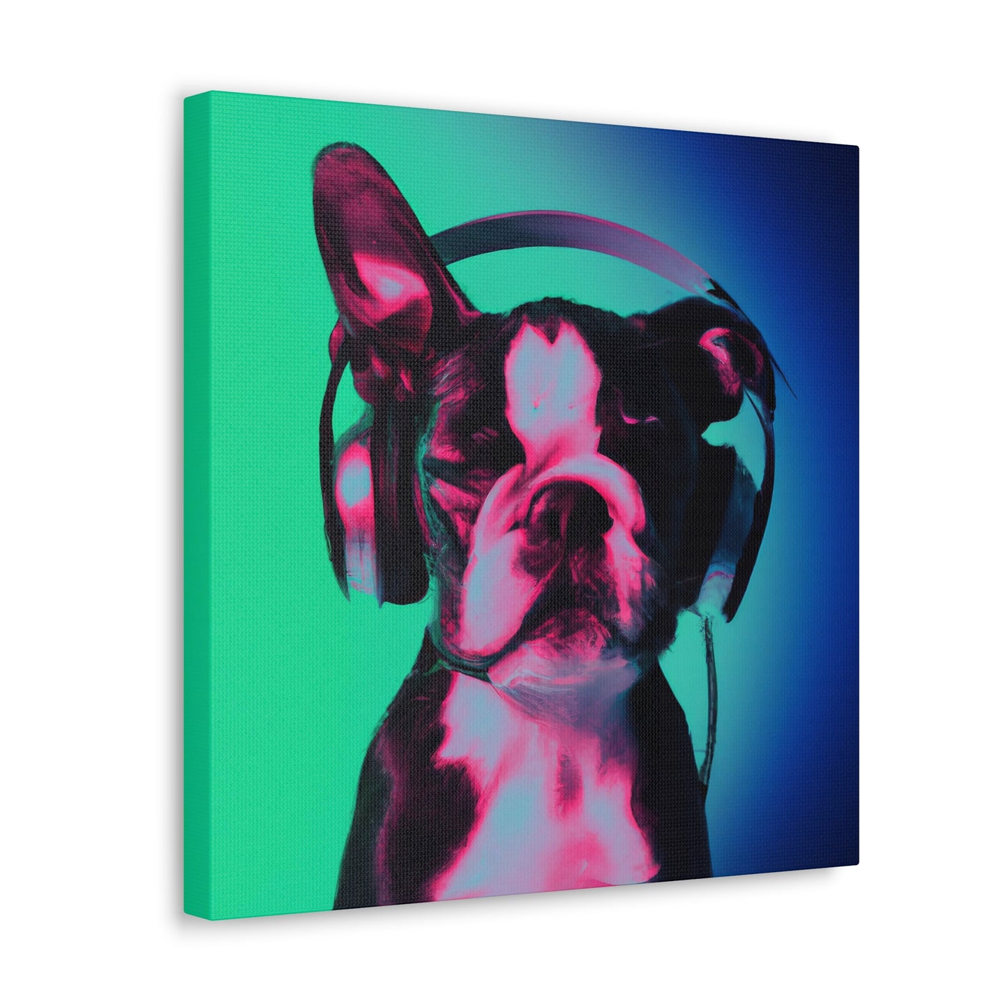 Queen Elizabeth Borealis - Boston Terrier - Canvas