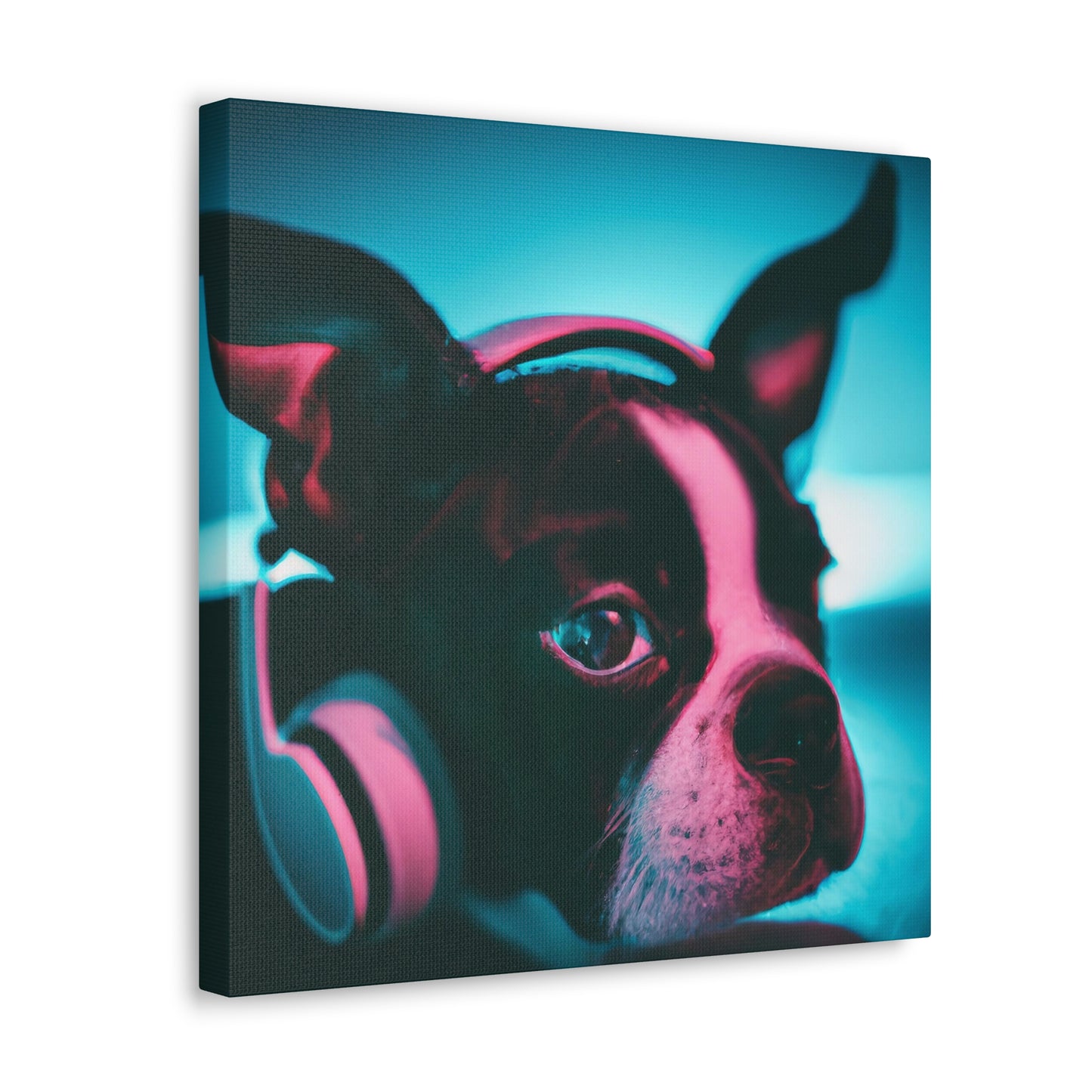 Ariston Cortez-Lancaster - Boston Terrier - Canvas