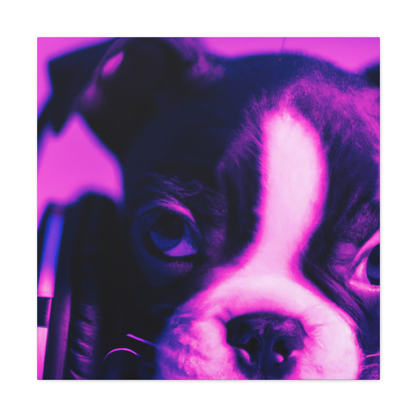 Sir Archibald Prescott von Leydenmore - Boston Terrier - Canvas