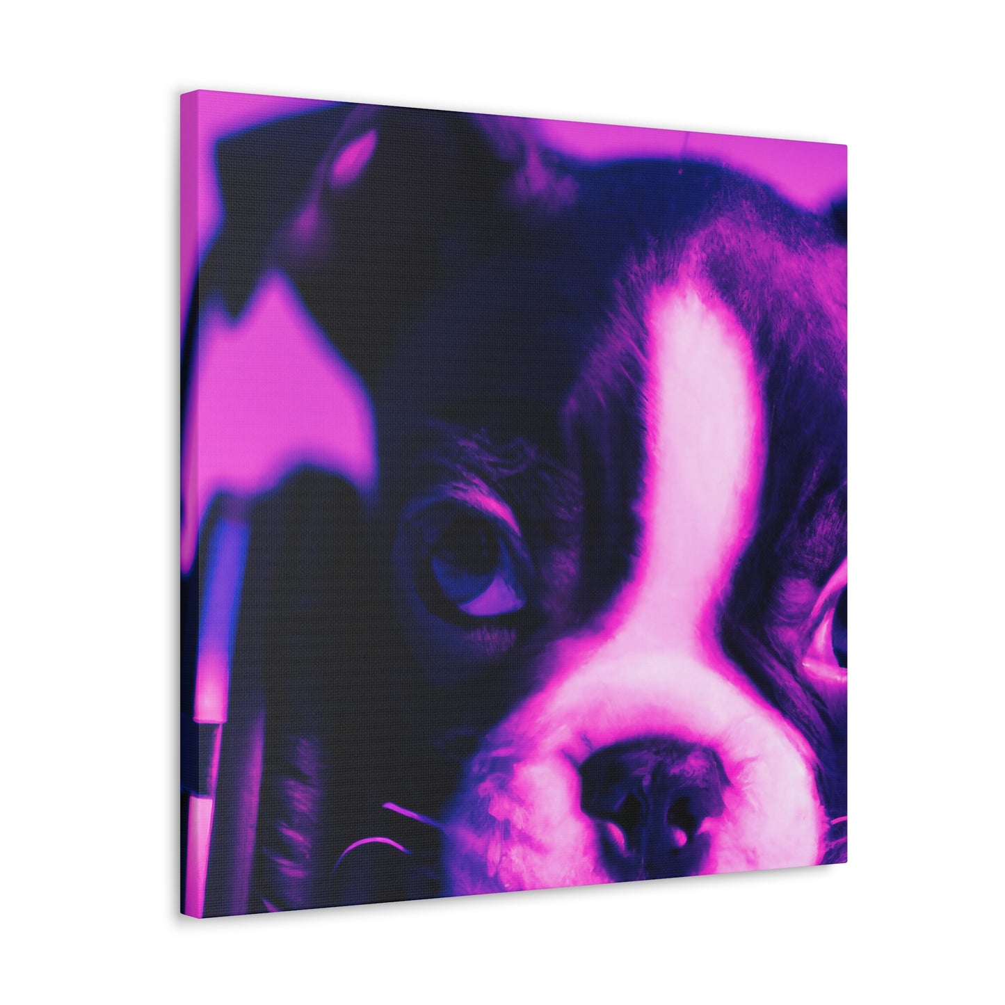 Sir Archibald Prescott von Leydenmore - Boston Terrier - Canvas