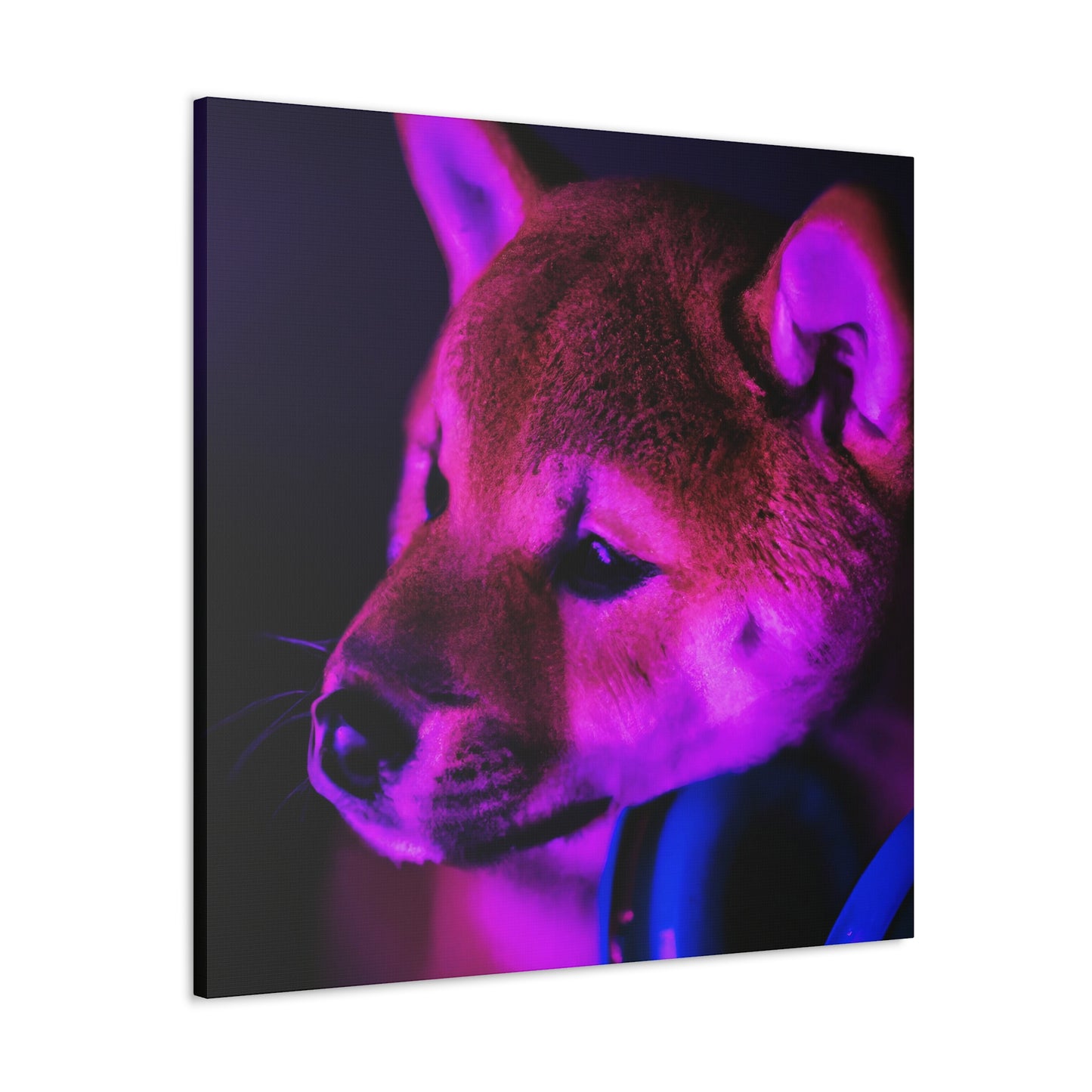 Lingzi Xie - Shiba Inu - Canvas