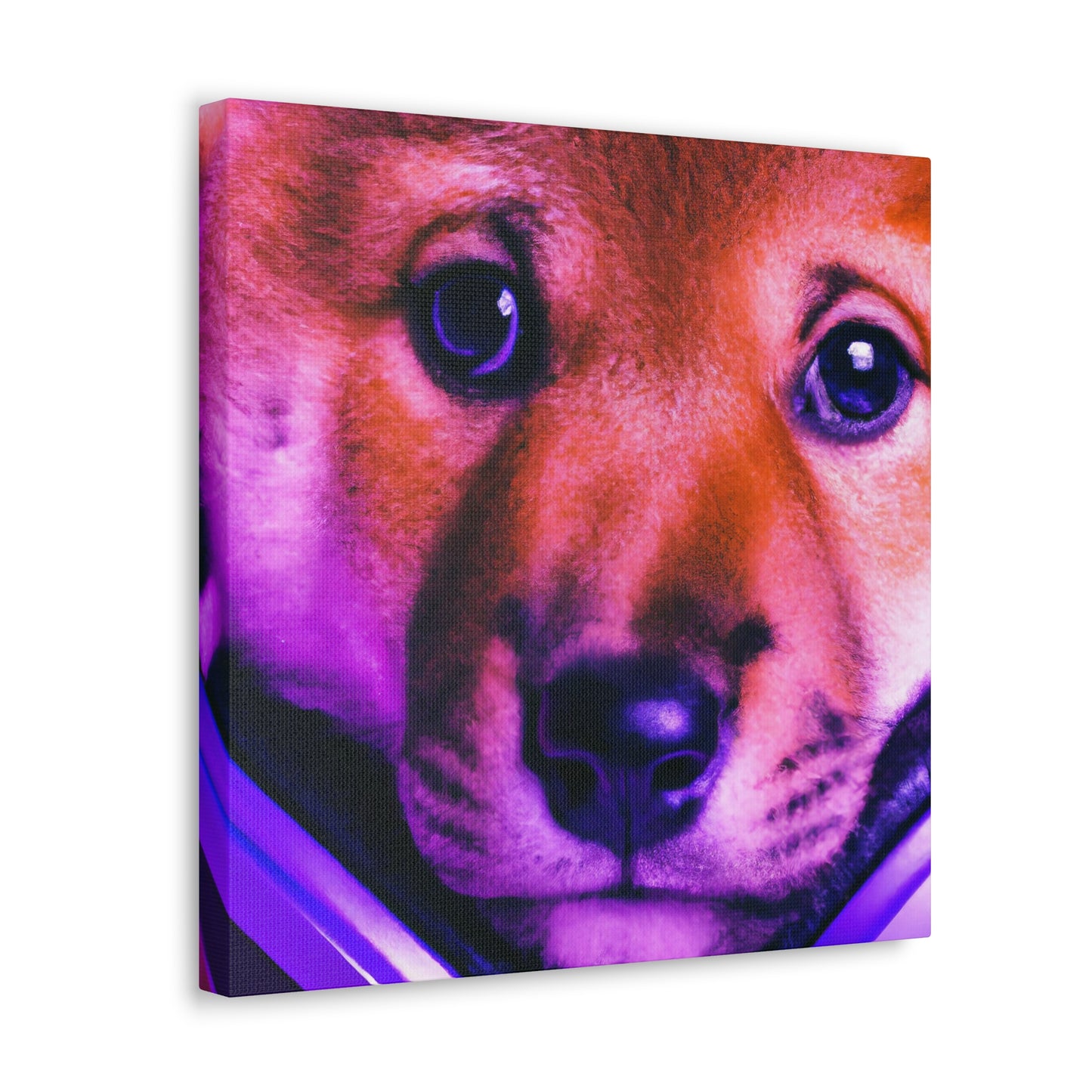 Kiran Karni - Shiba Inu - Canvas