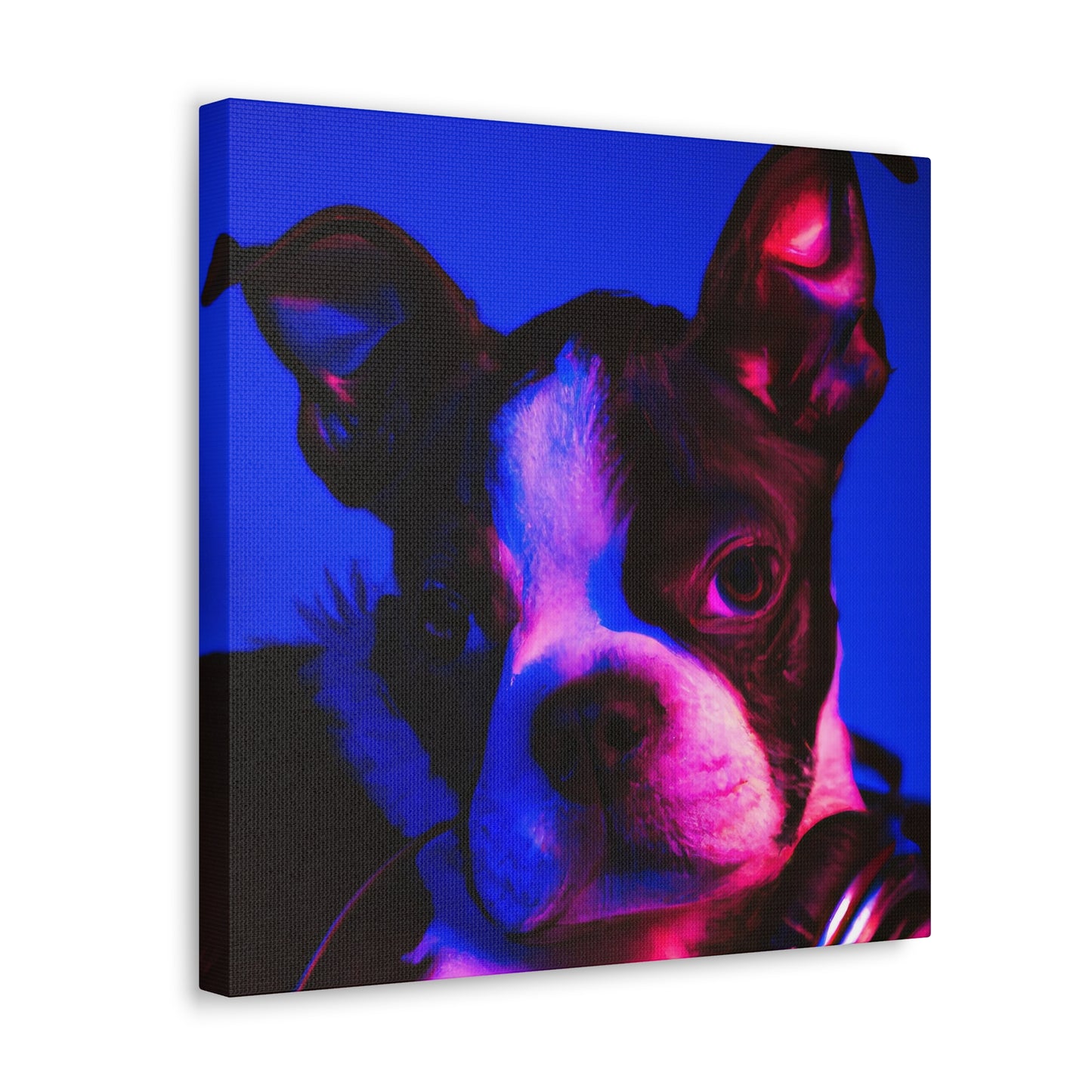 Princess Arabella of Boston - Boston Terrier - Canvas