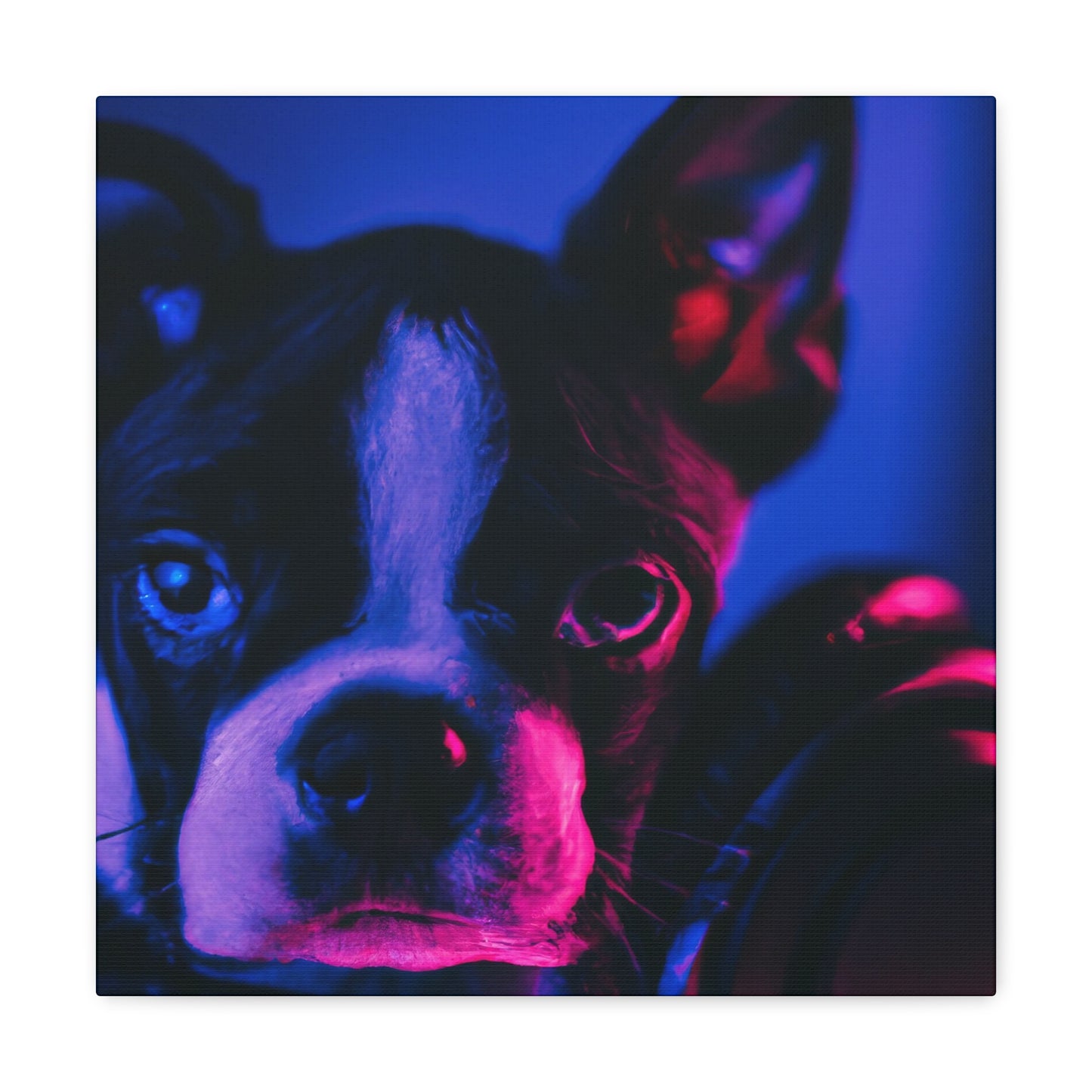 Theodoric of Bostonia - Boston Terrier - Canvas