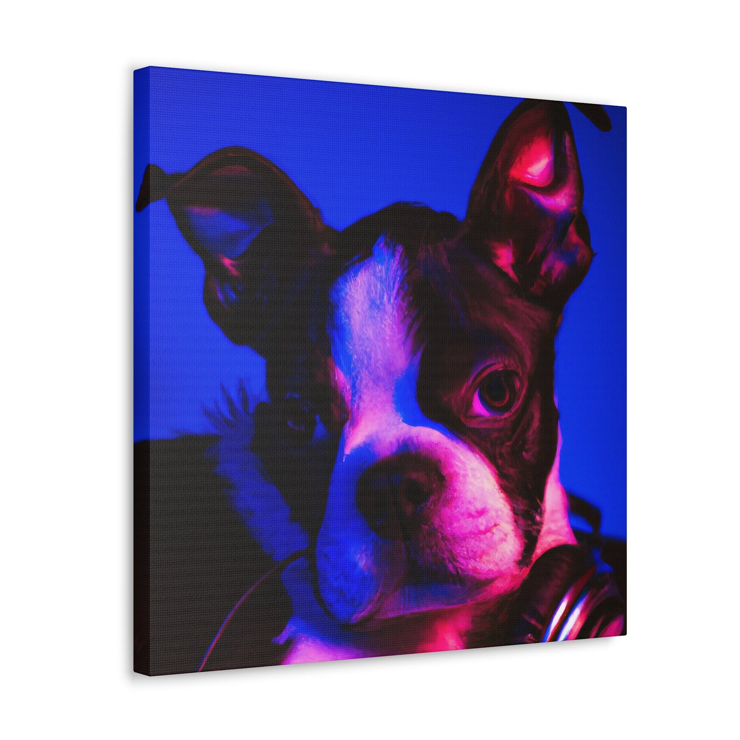 Princess Arabella of Boston - Boston Terrier - Canvas