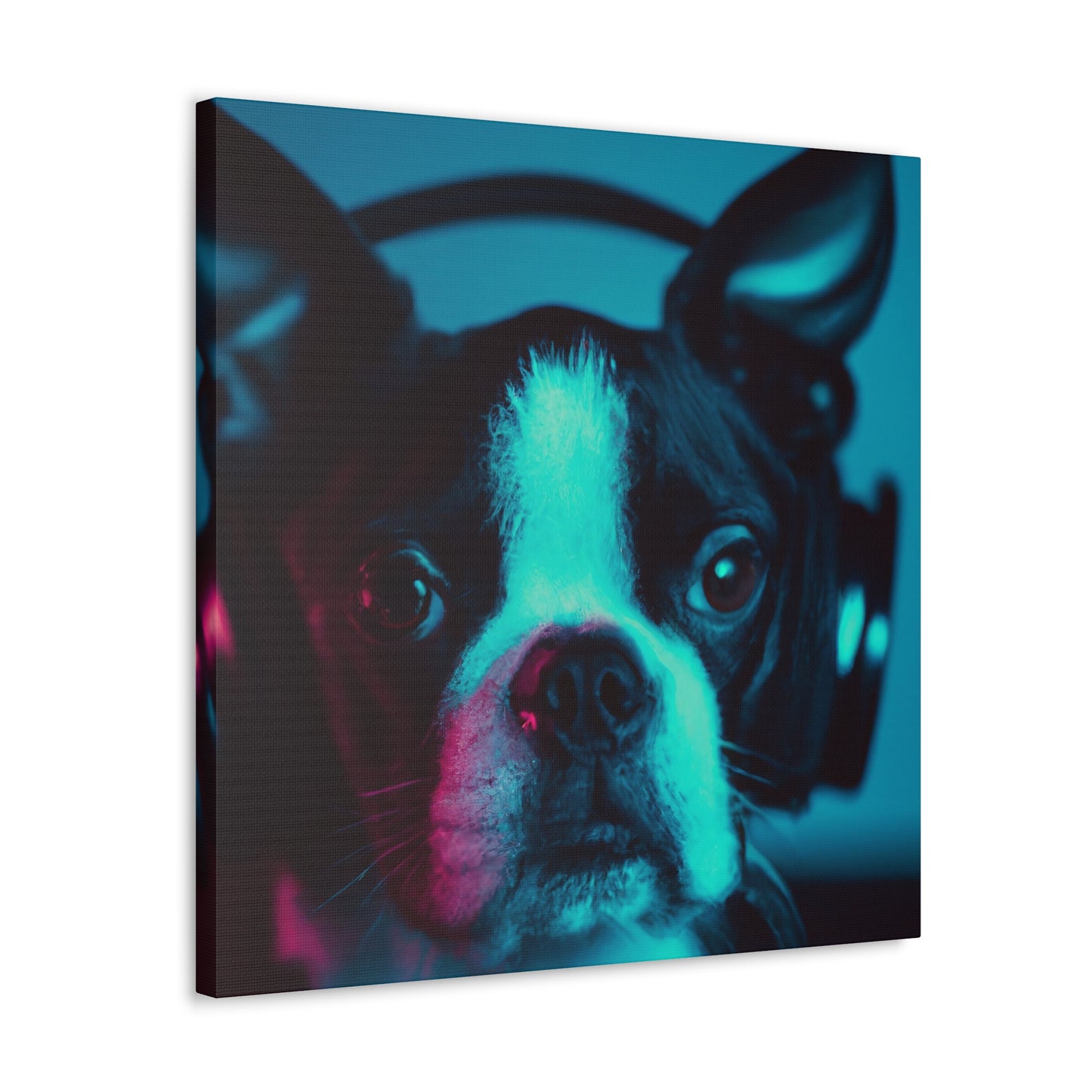 Lord/Lady Winwood of Boston - Boston Terrier - Canvas