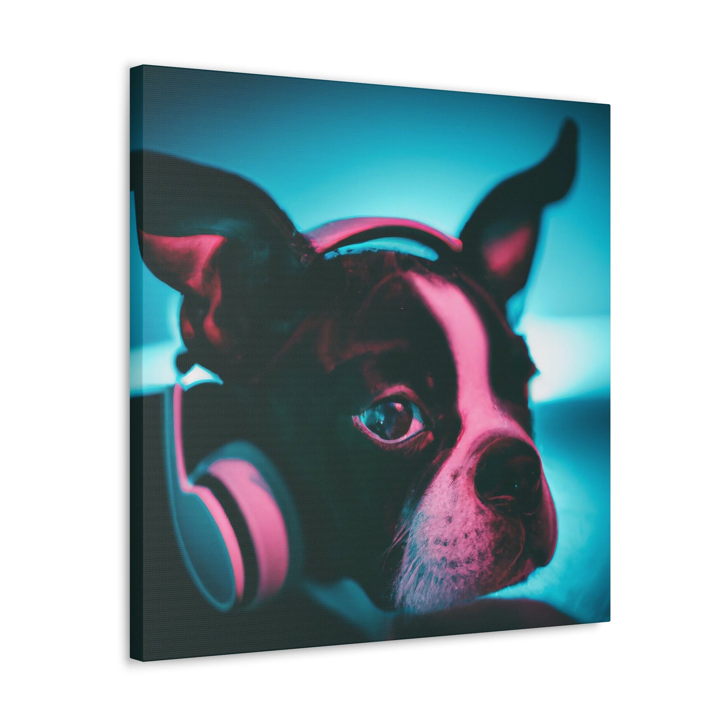Ariston Cortez-Lancaster - Boston Terrier - Canvas