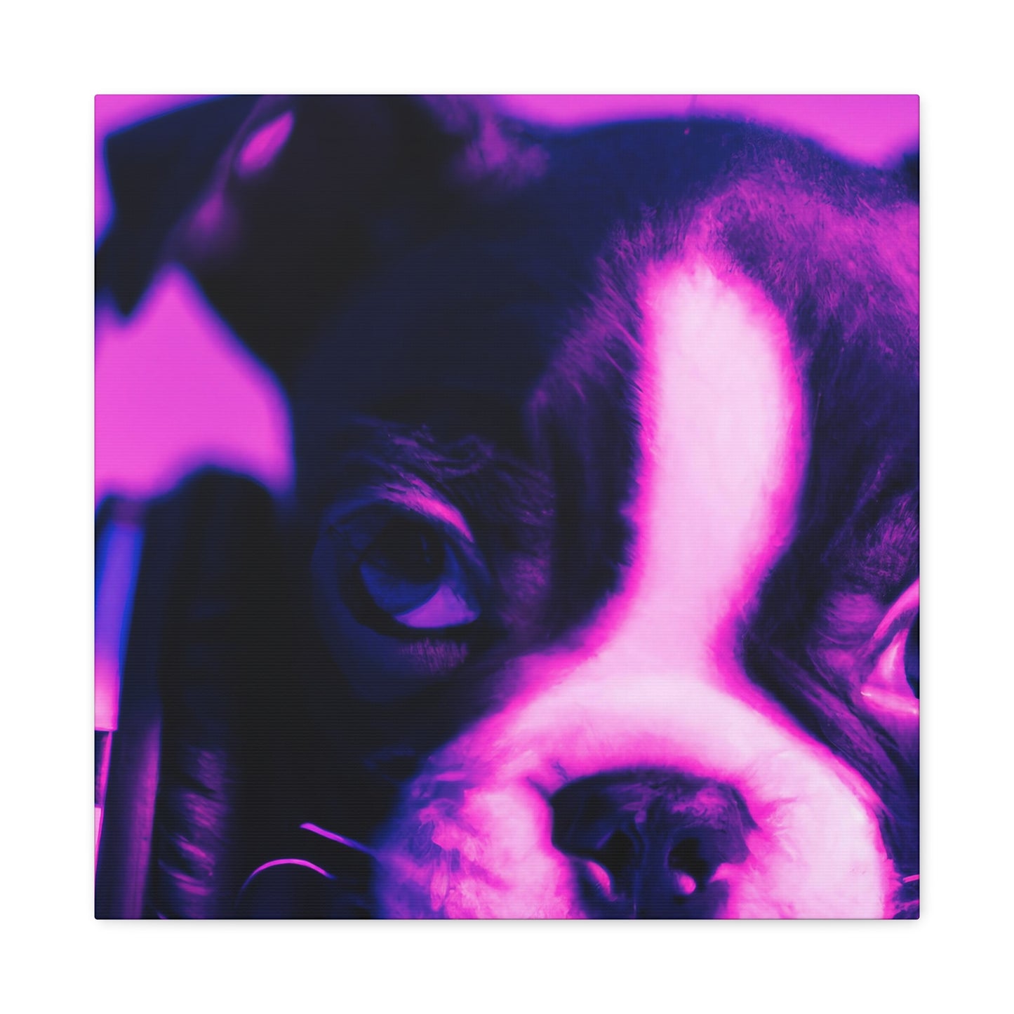 Sir Archibald Prescott von Leydenmore - Boston Terrier - Canvas