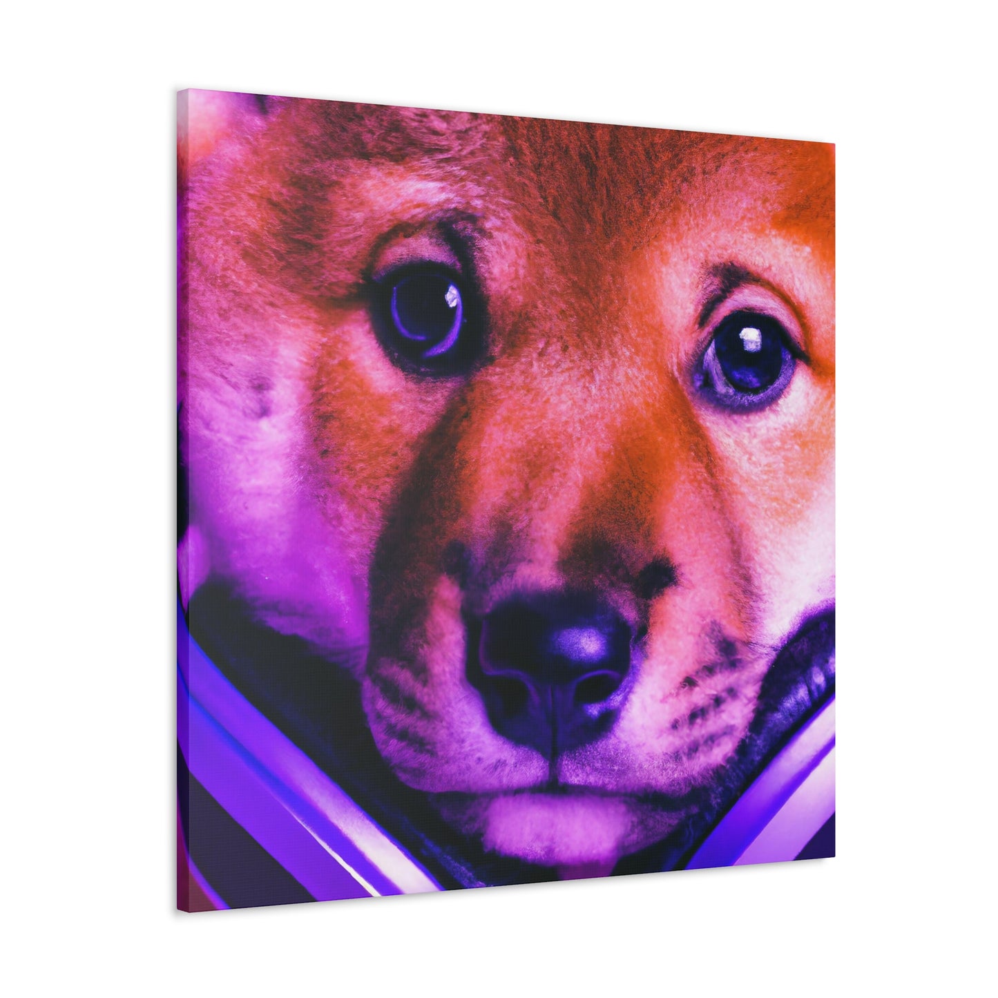 Kiran Karni - Shiba Inu - Canvas