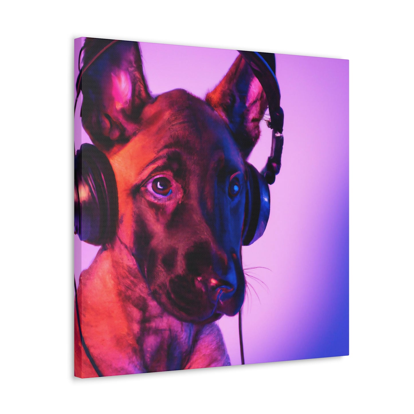 Countess Thalia of Flanders - Belgian Malinois - Canvas