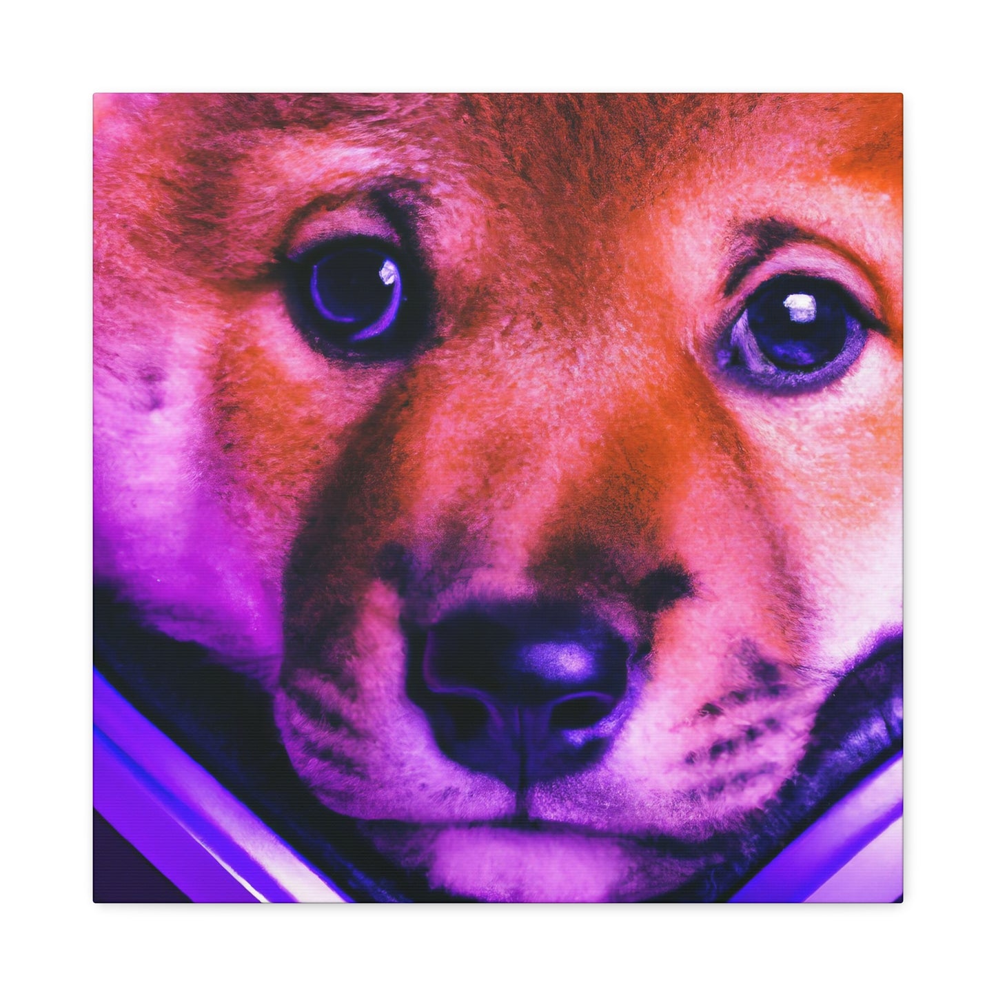 Kiran Karni - Shiba Inu - Canvas