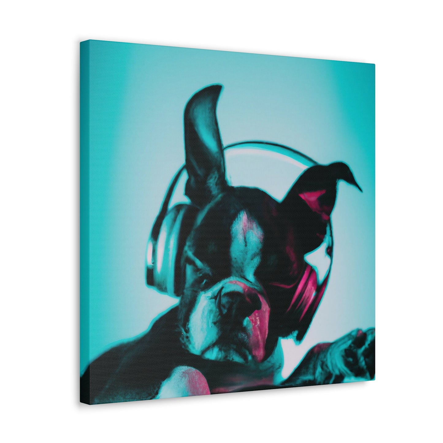 Prince Raufaldus Meldsky - Boston Terrier - Canvas