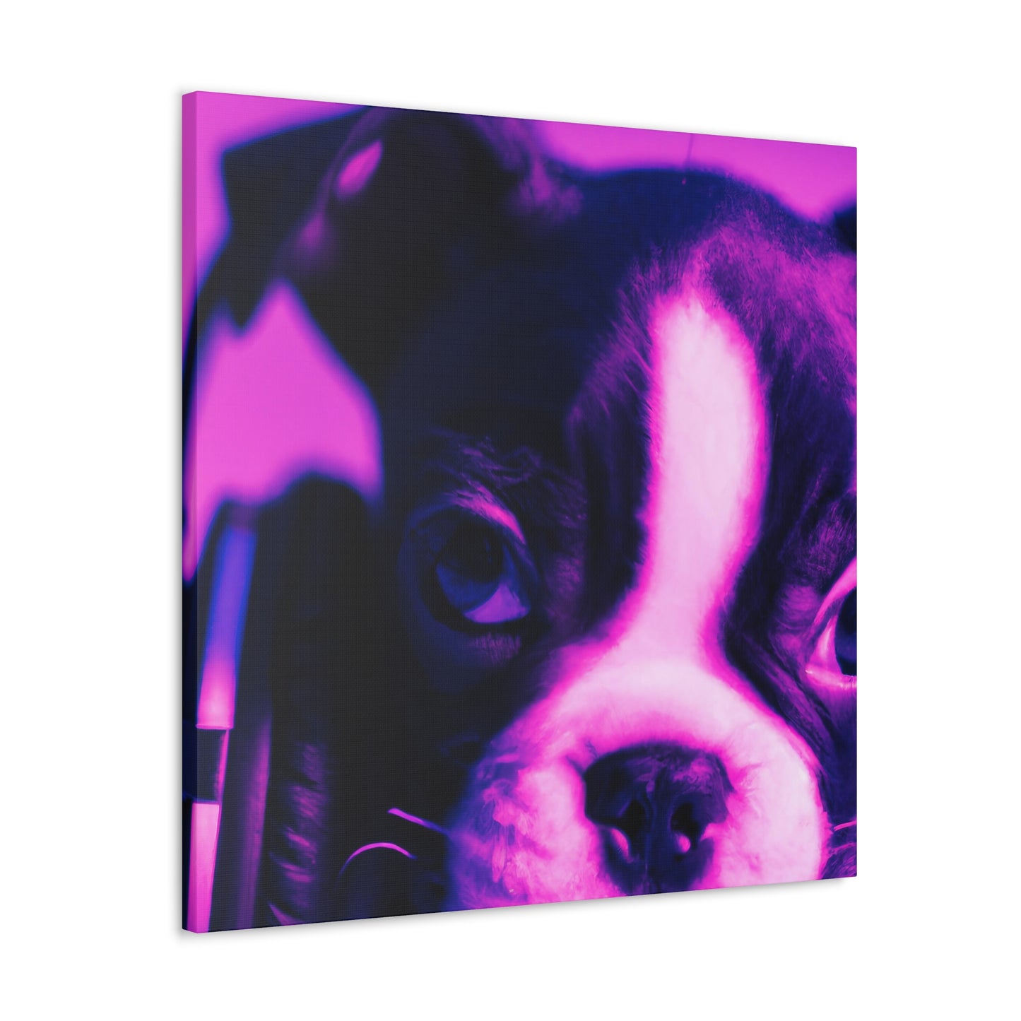 Sir Archibald Prescott von Leydenmore - Boston Terrier - Canvas