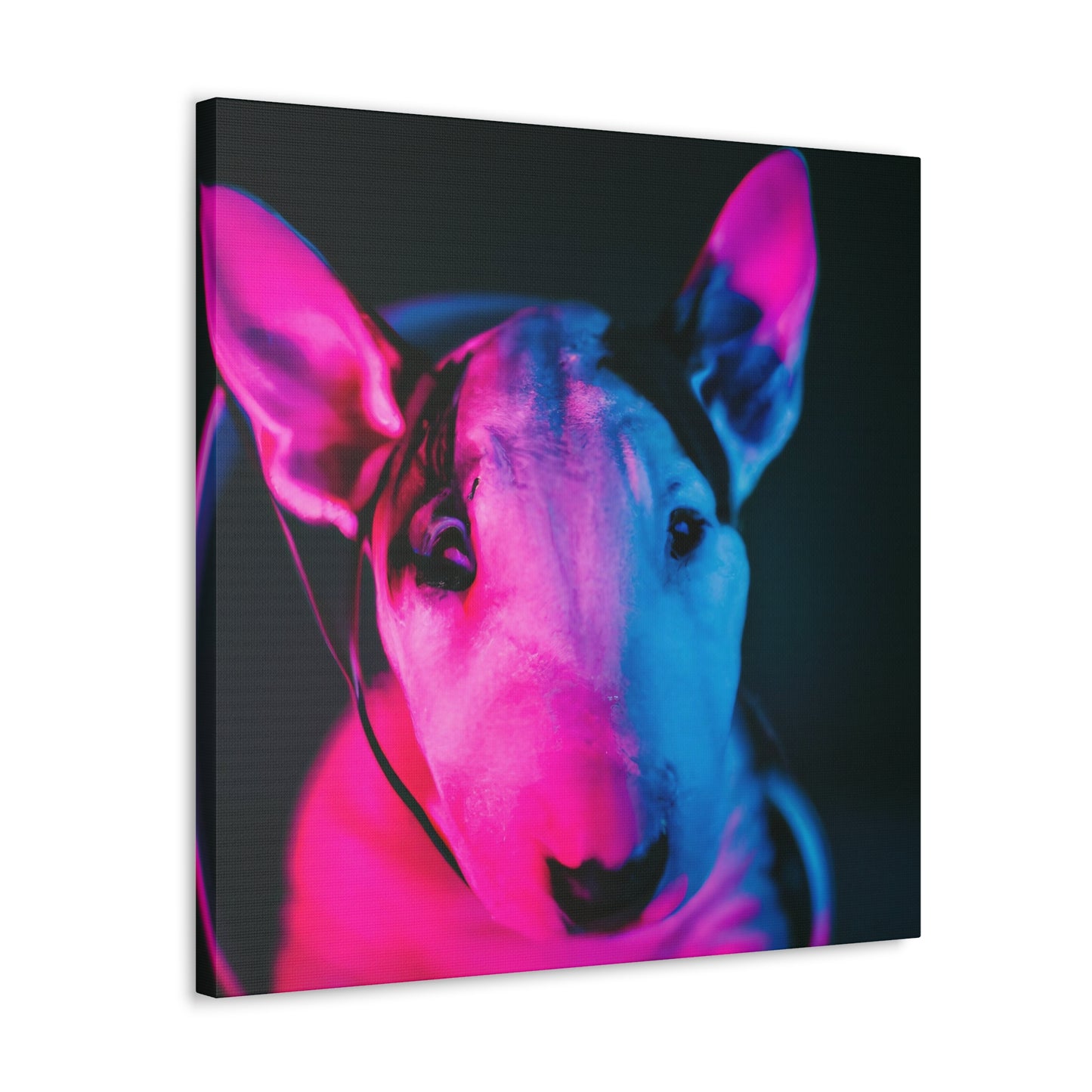 Clarissa Fortescue - Bull Terrier - Canvas