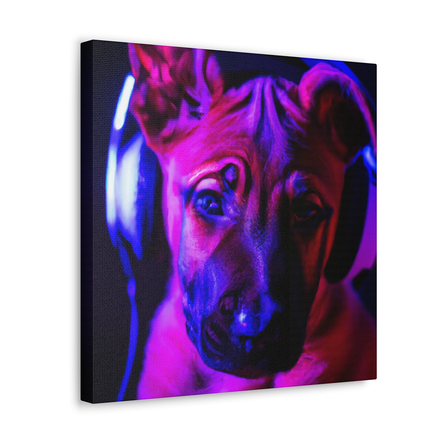 Countess Viggo Vanvanderbilt - Belgian Malinois - Canvas