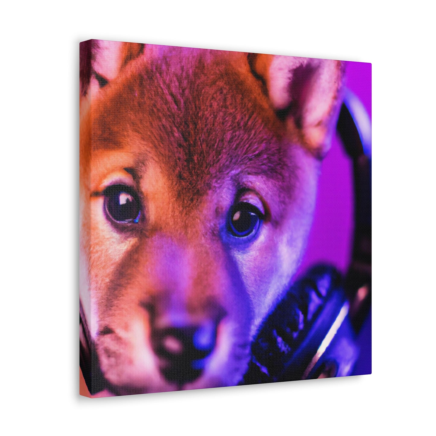 Bhatura Bhomo - Shiba Inu - Canvas