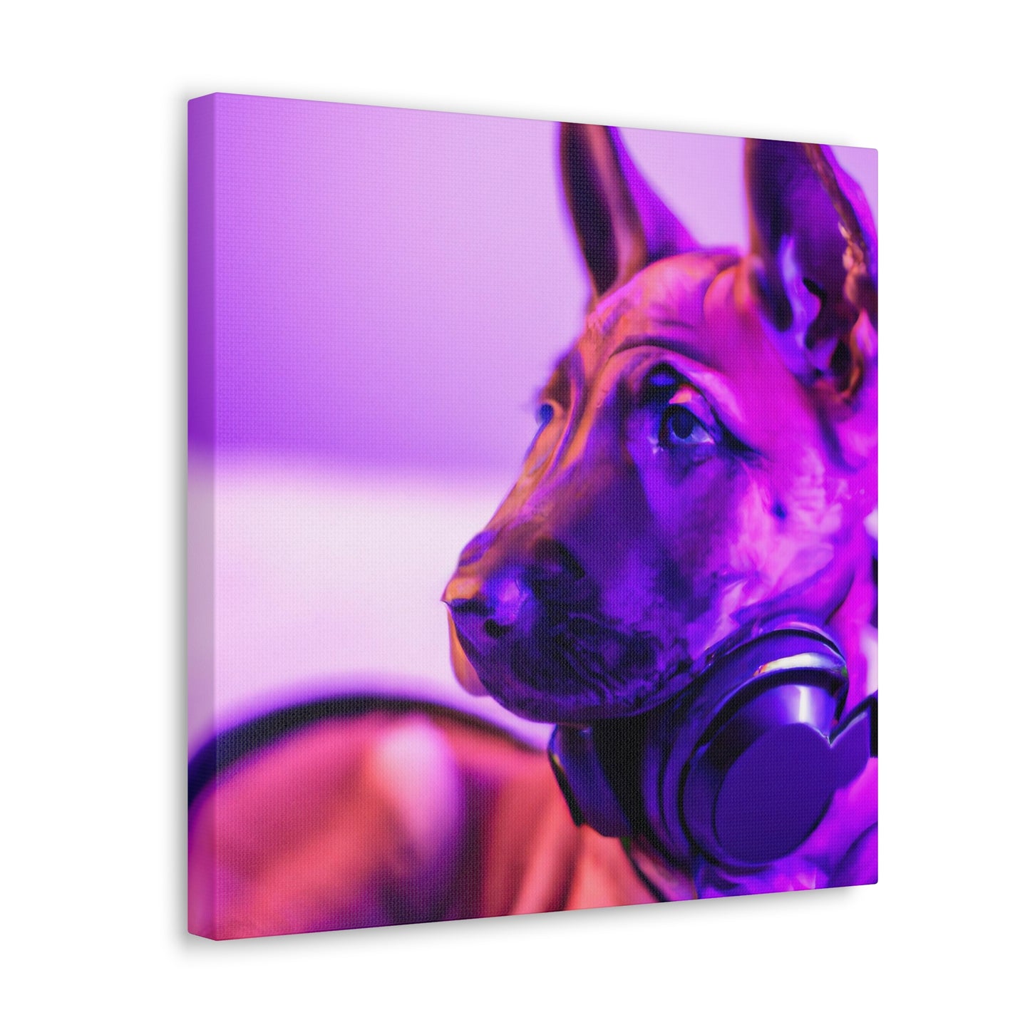 Archduke Madeline of Belgium - Belgian Malinois - Canvas