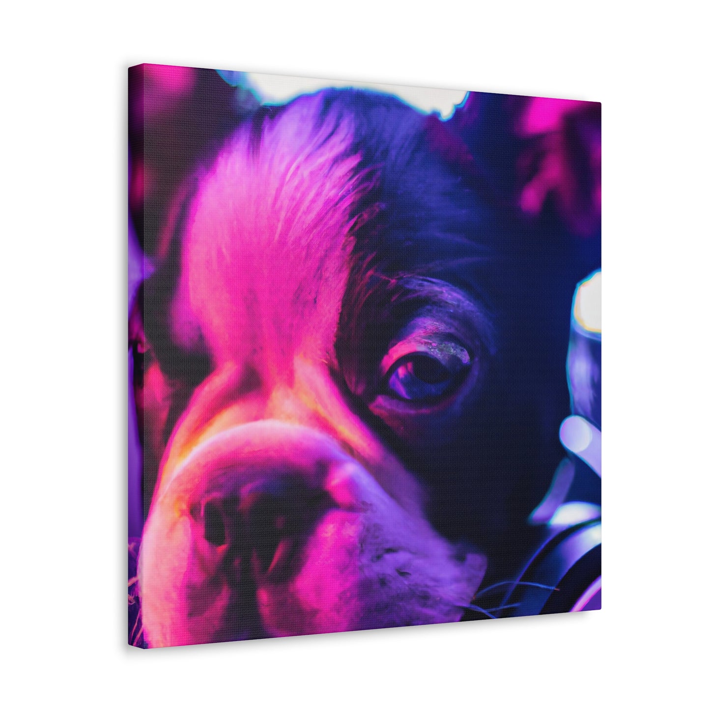 Princess Alexa of Boston - Boston Terrier - Canvas