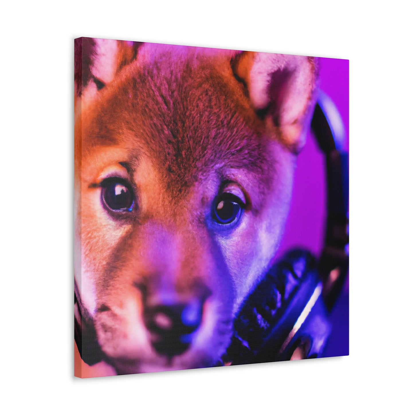 Bhatura Bhomo - Shiba Inu - Canvas