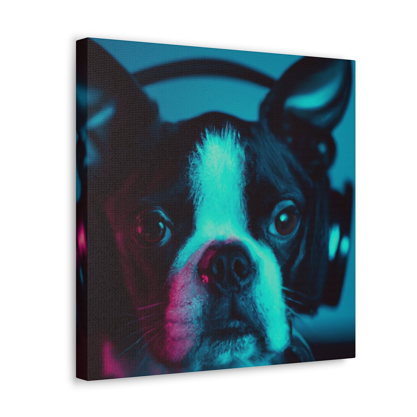 Lord/Lady Winwood of Boston - Boston Terrier - Canvas