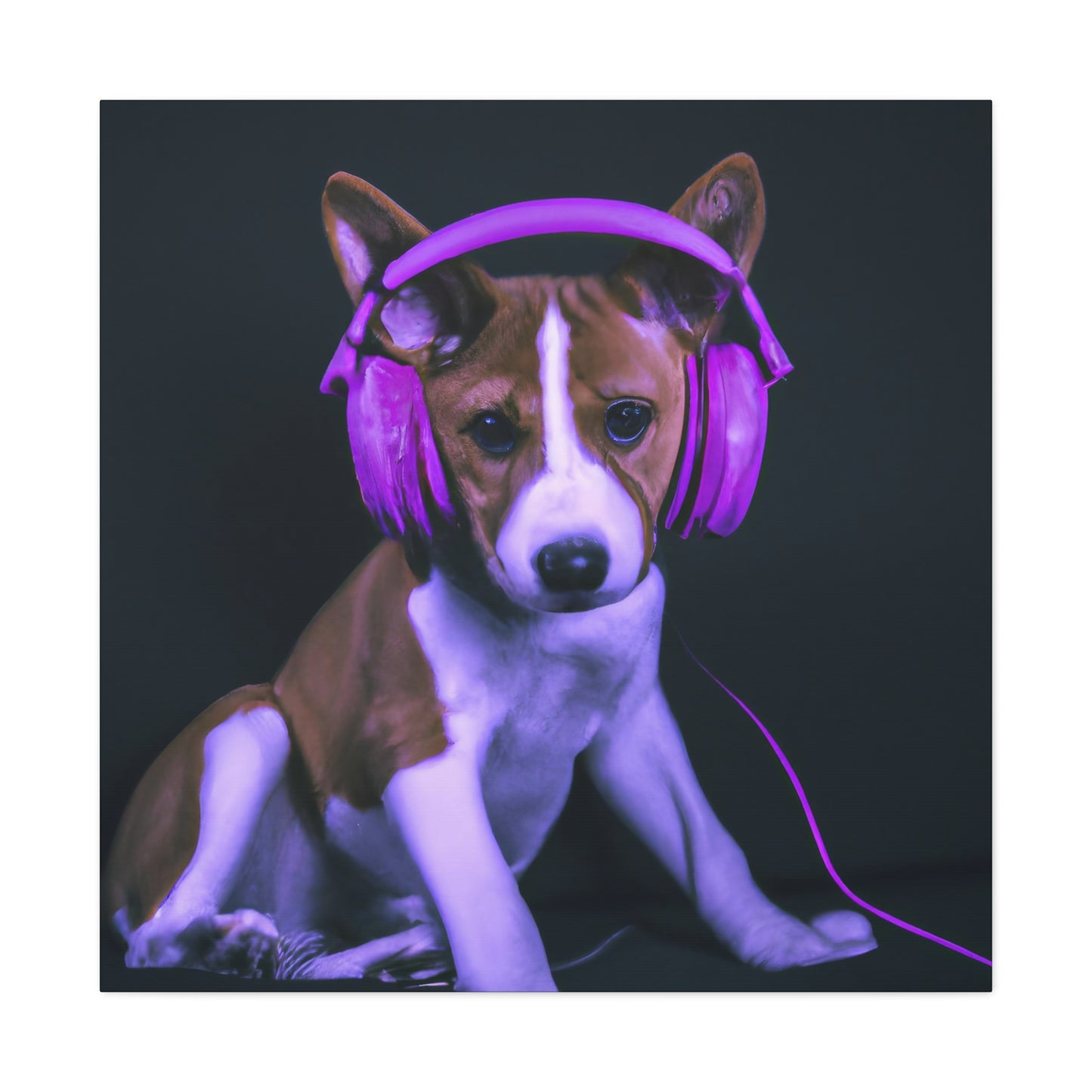 Shuenlana Mahkdoon - Basenji - Canvas