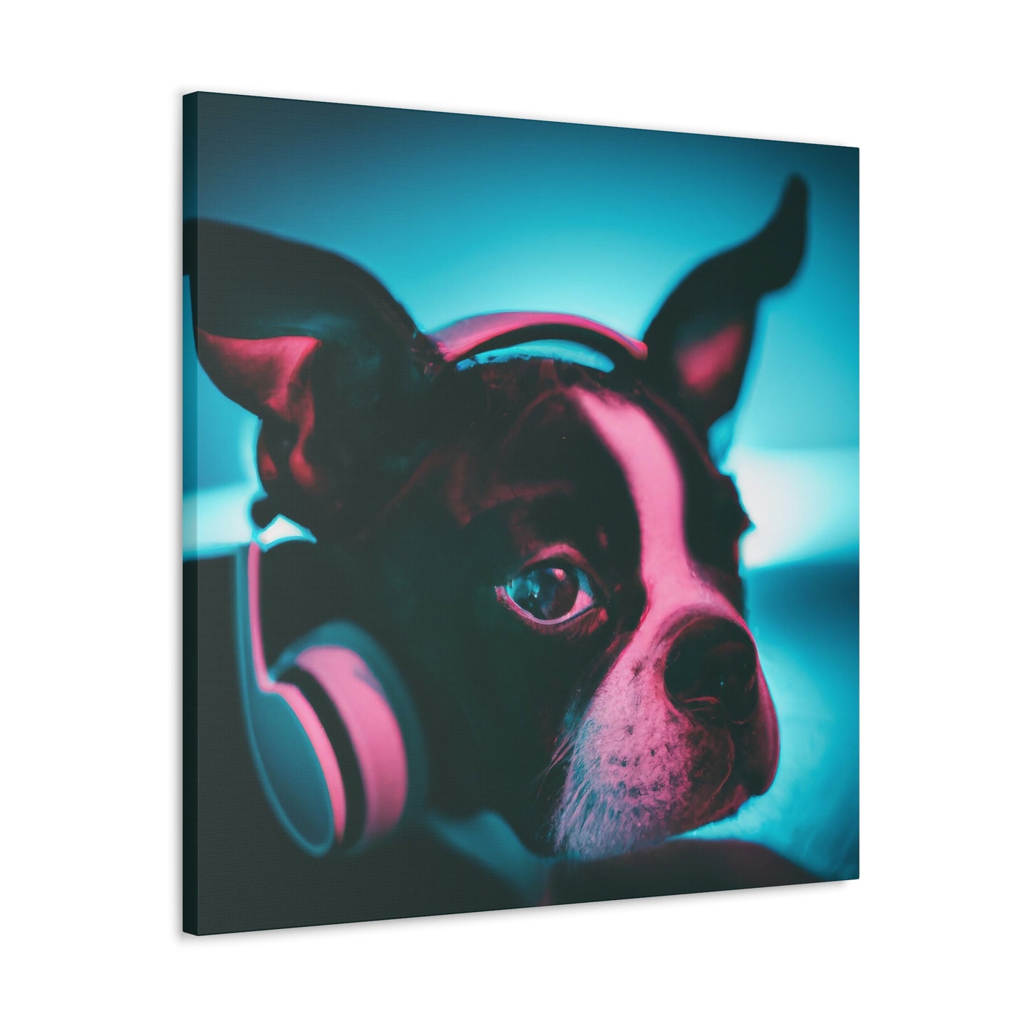 Ariston Cortez-Lancaster - Boston Terrier - Canvas