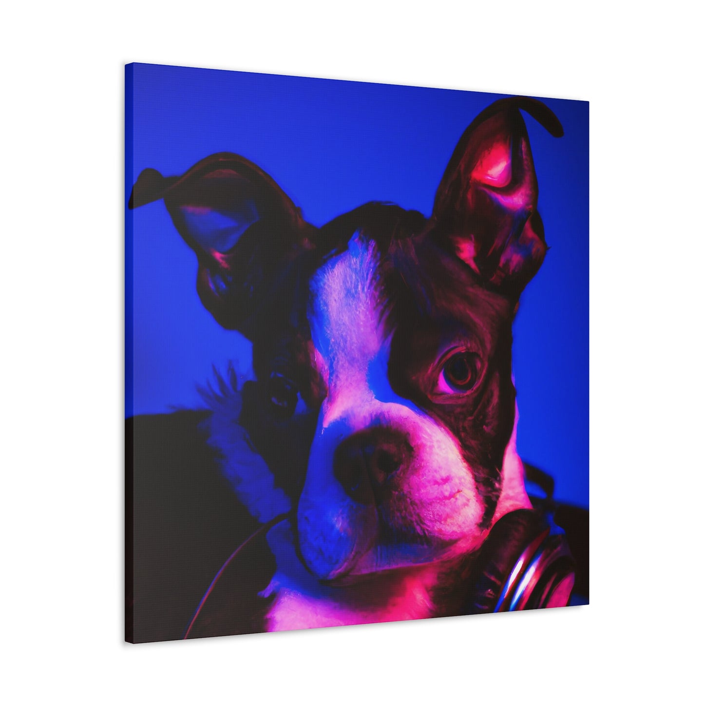 Princess Arabella of Boston - Boston Terrier - Canvas