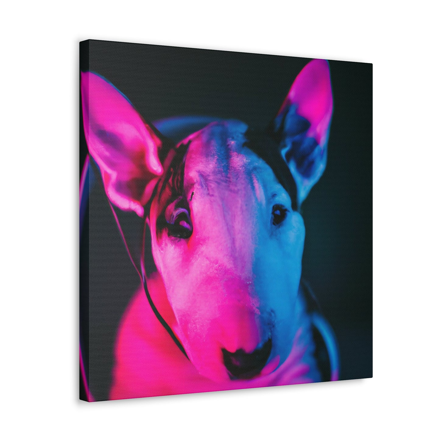 Clarissa Fortescue - Bull Terrier - Canvas