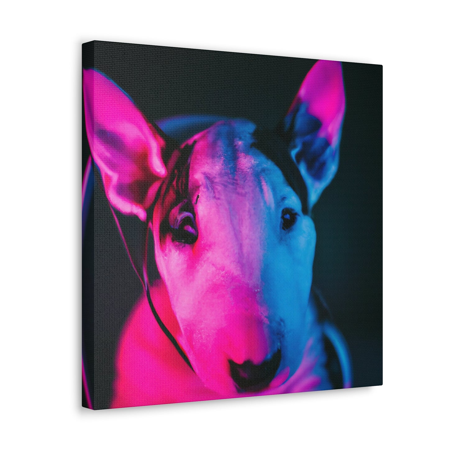 Clarissa Fortescue - Bull Terrier - Canvas