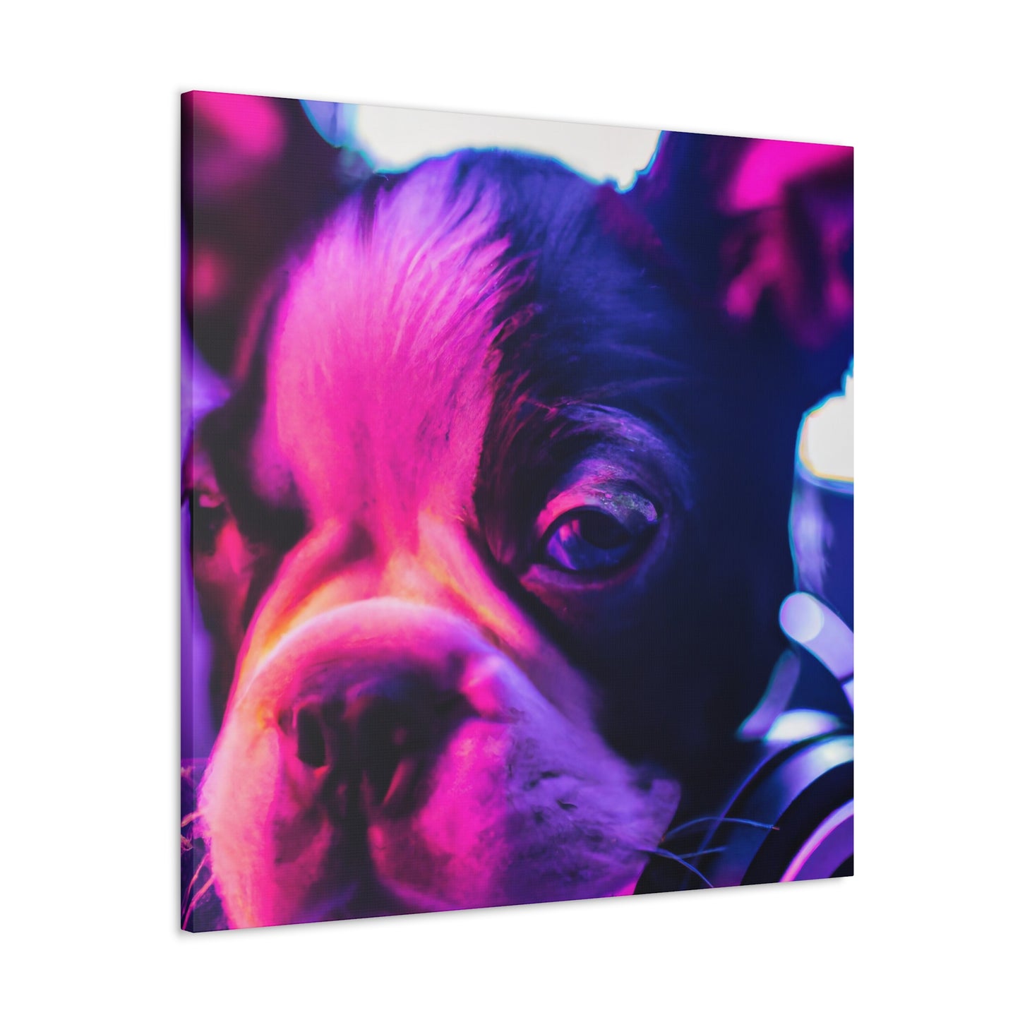 Princess Alexa of Boston - Boston Terrier - Canvas