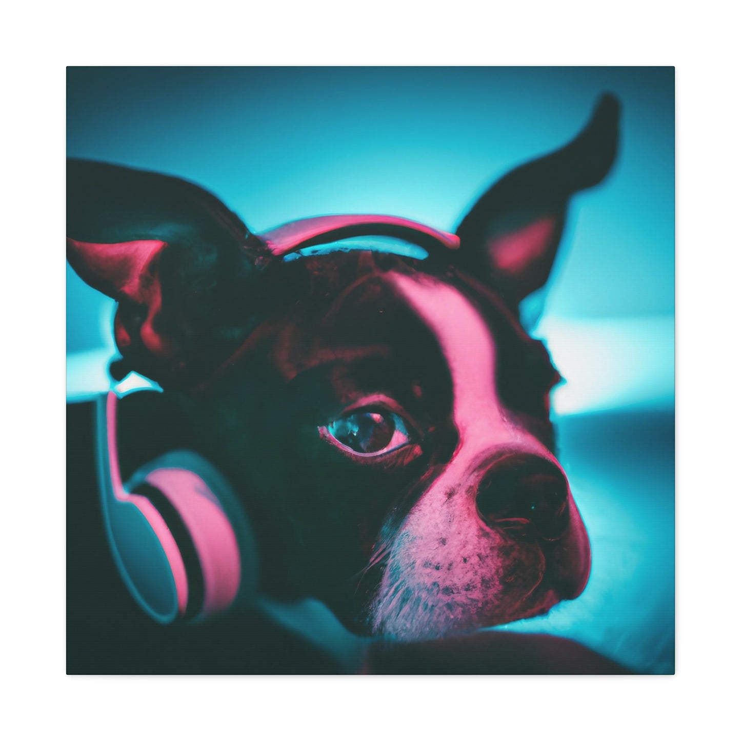 Ariston Cortez-Lancaster - Boston Terrier - Canvas