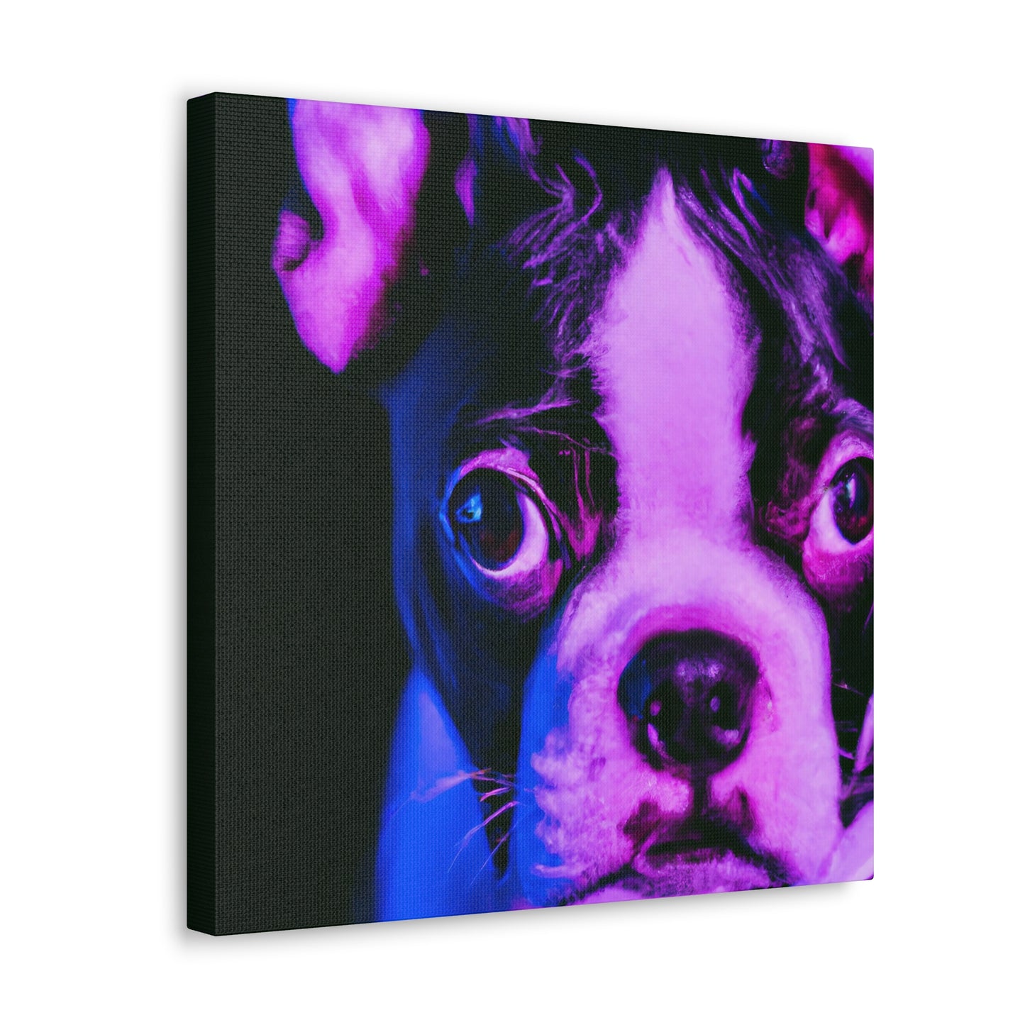 Lord Charles Fairfax of Boston - Boston Terrier - Canvas