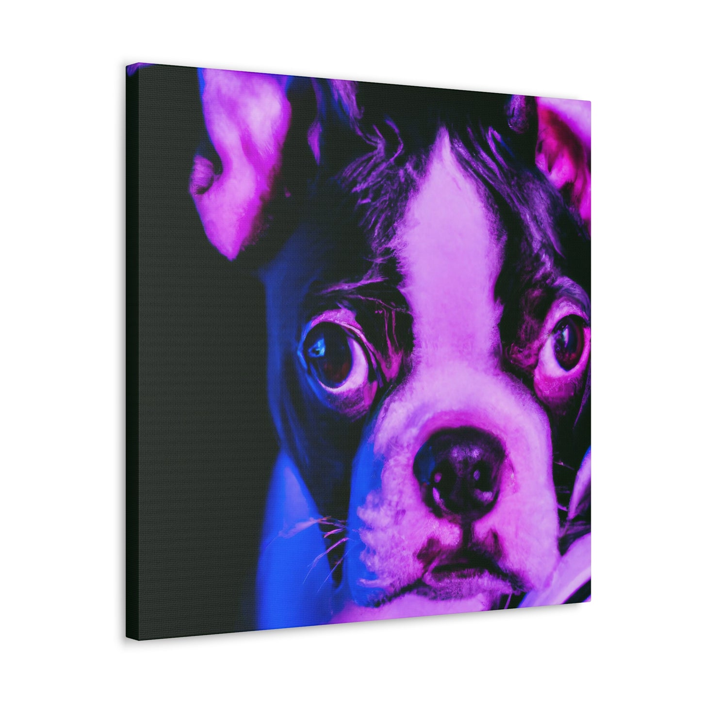 Lord Charles Fairfax of Boston - Boston Terrier - Canvas