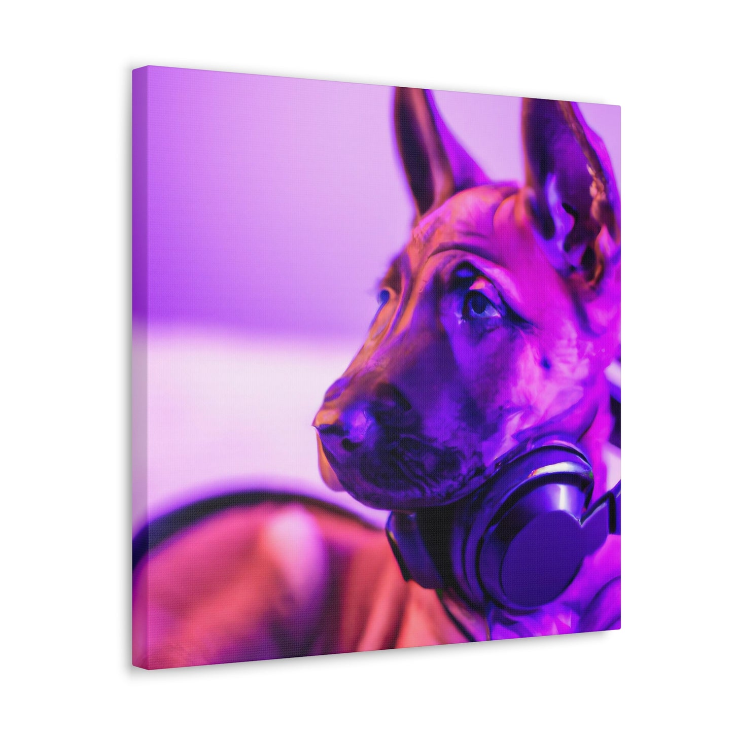 Archduke Madeline of Belgium - Belgian Malinois - Canvas