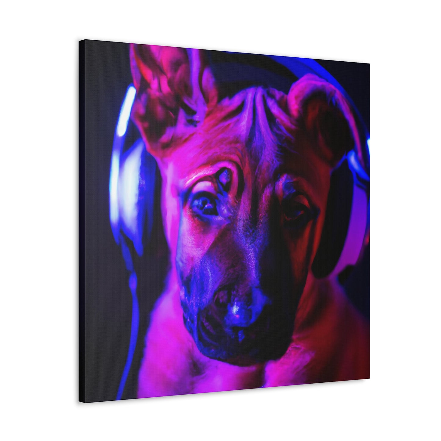 Countess Viggo Vanvanderbilt - Belgian Malinois - Canvas