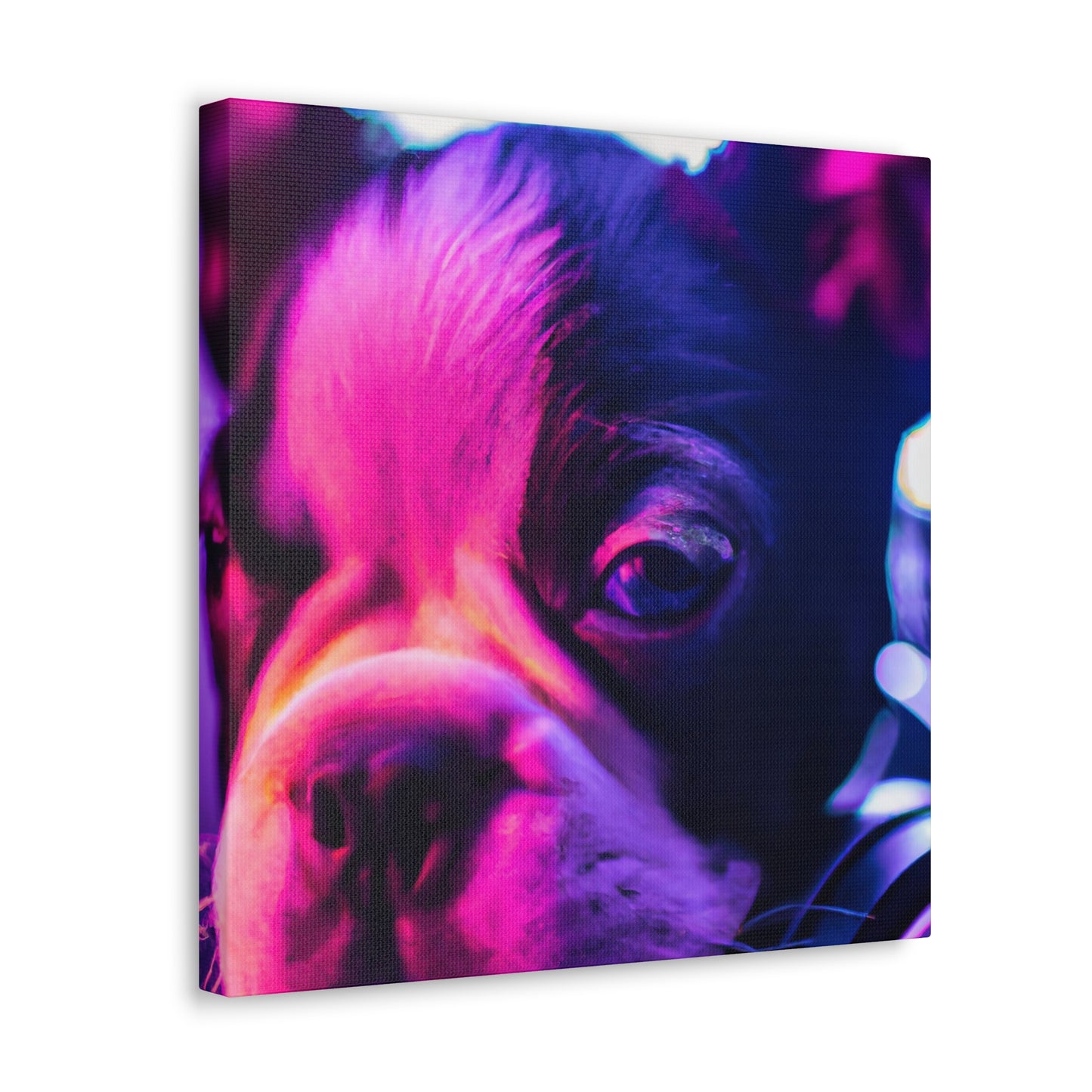 Princess Alexa of Boston - Boston Terrier - Canvas