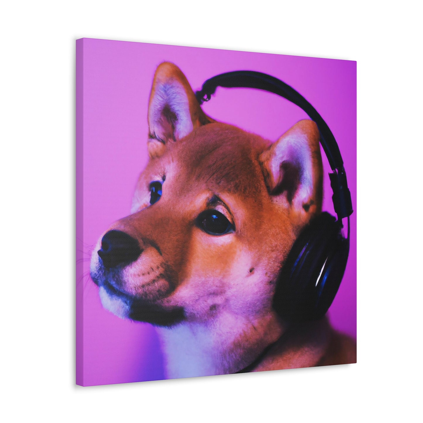 Myongu Angiro - Shiba Inu - Canvas