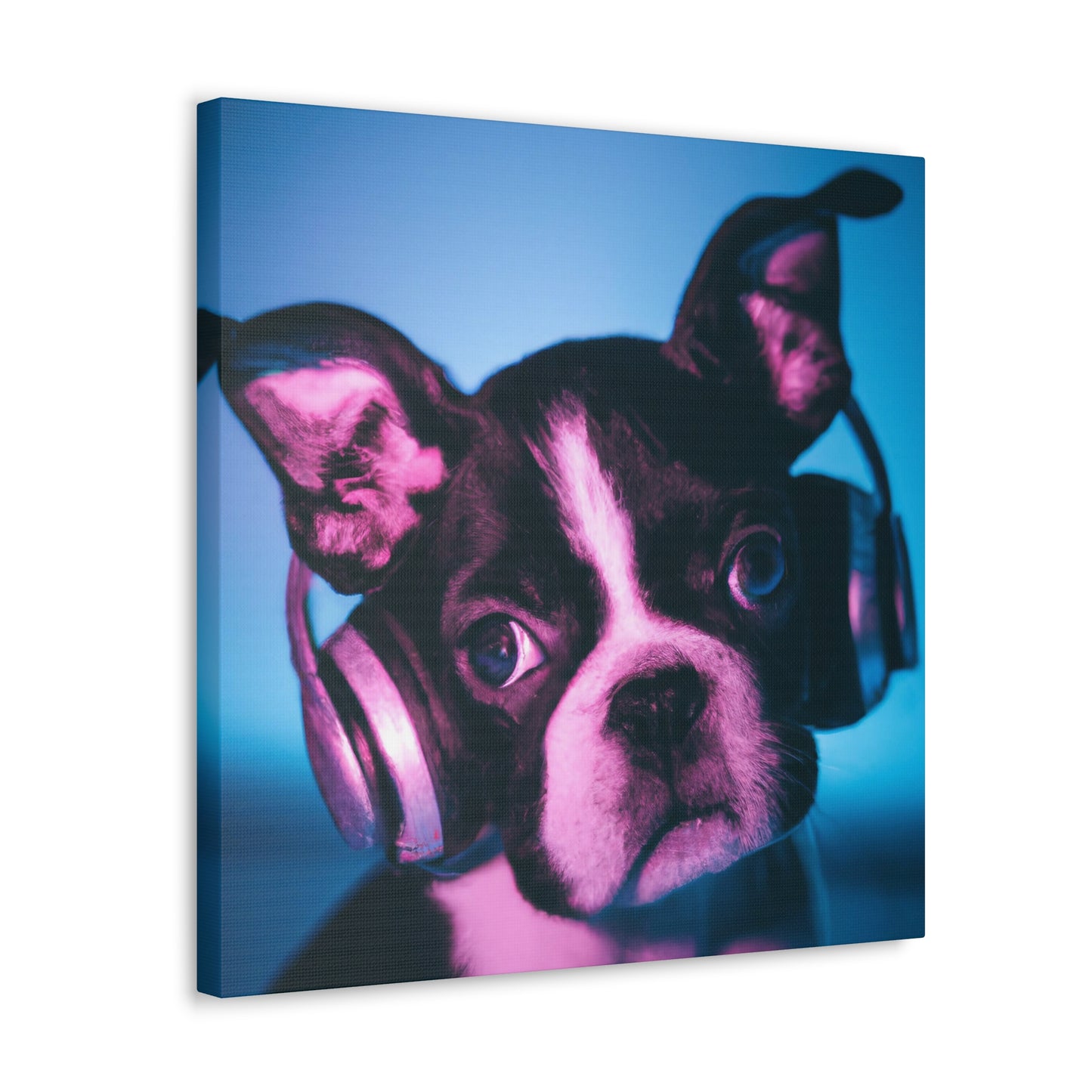 Jasper Regalbury - Boston Terrier - Canvas