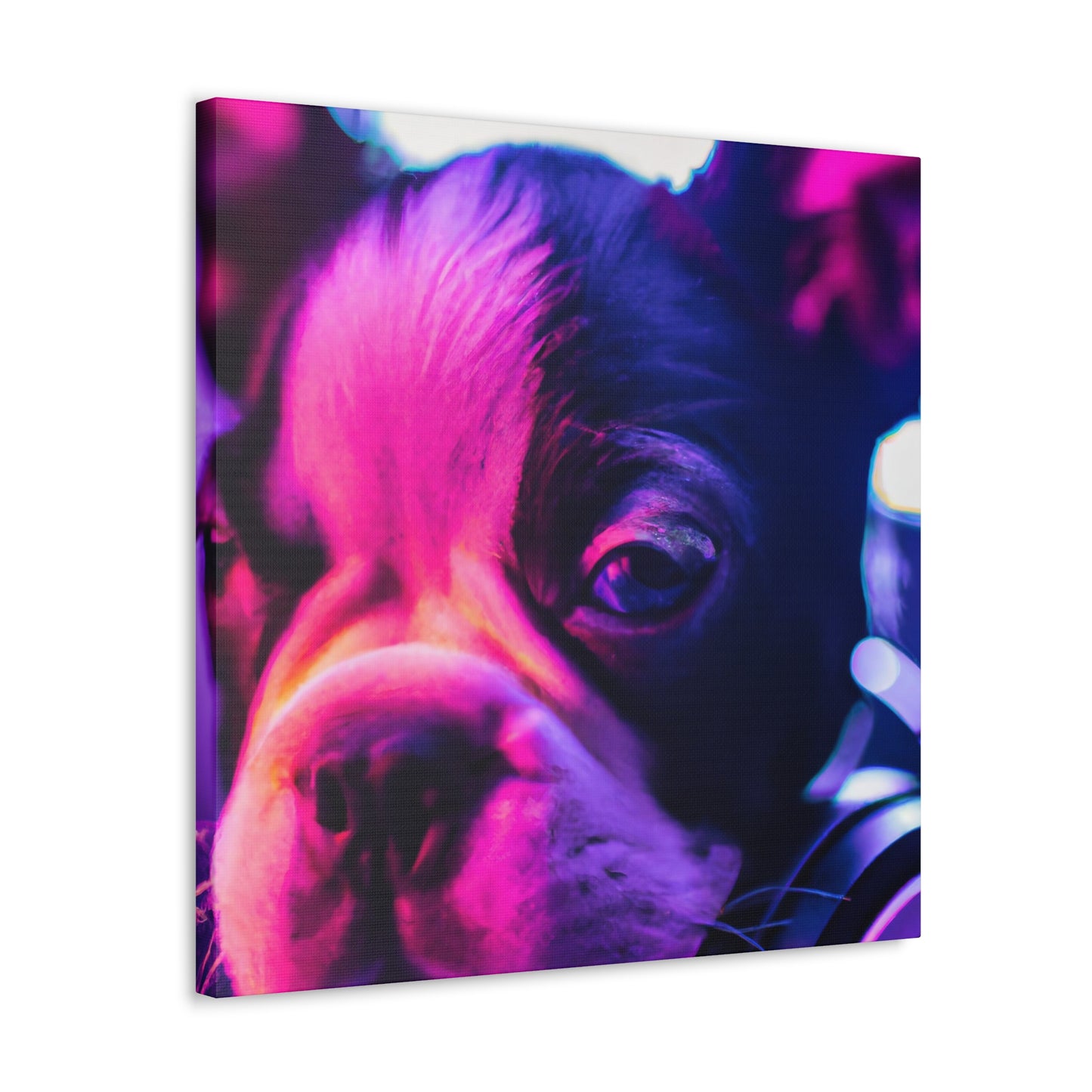 Princess Alexa of Boston - Boston Terrier - Canvas