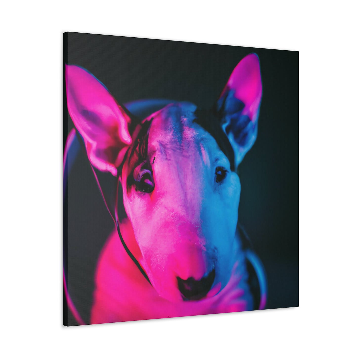 Clarissa Fortescue - Bull Terrier - Canvas