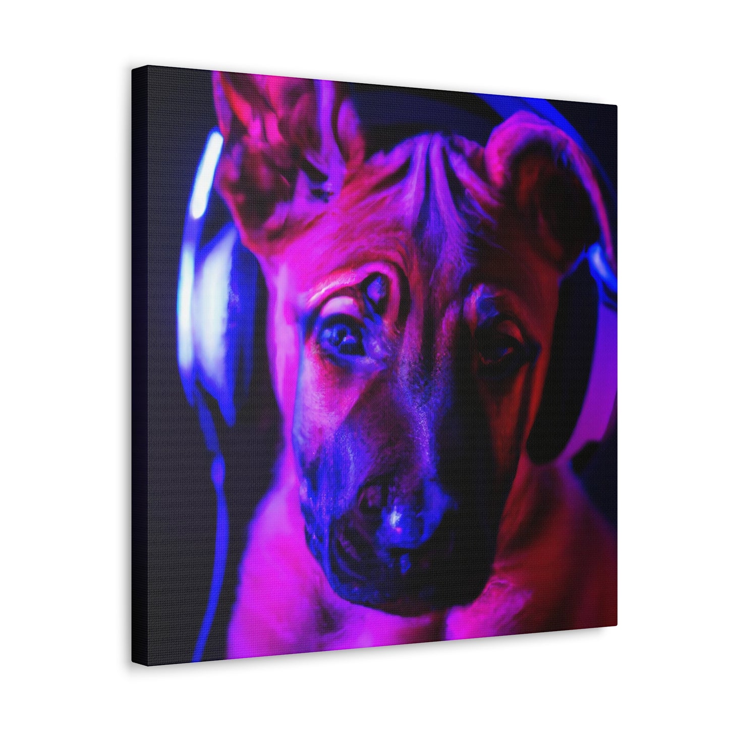 Countess Viggo Vanvanderbilt - Belgian Malinois - Canvas