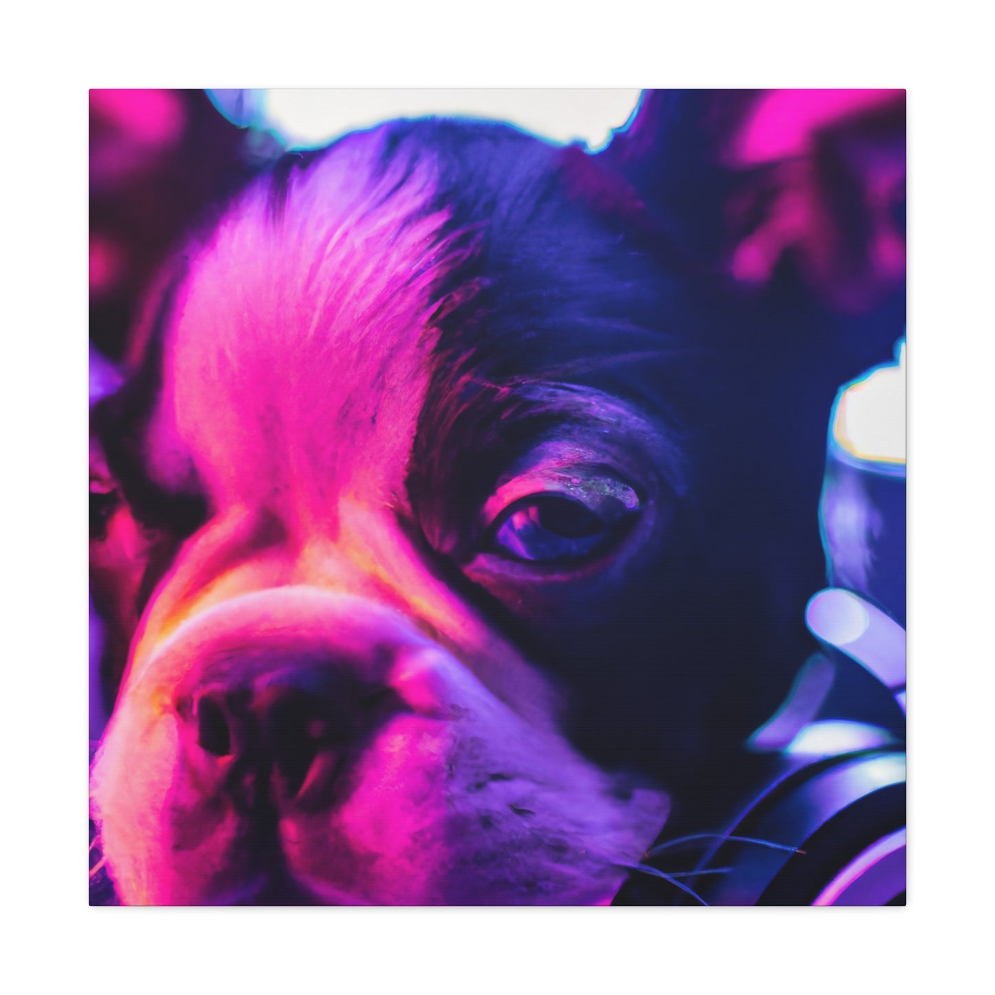 Princess Alexa of Boston - Boston Terrier - Canvas