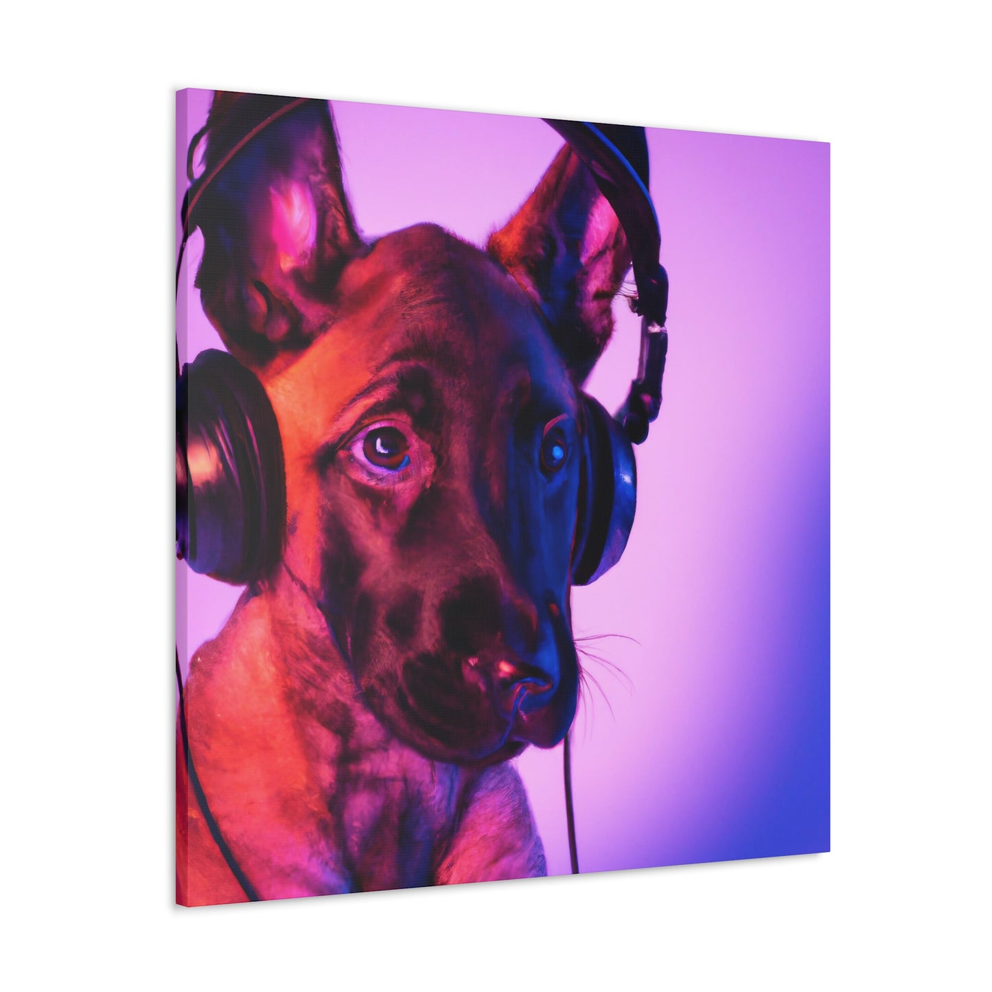 Countess Thalia of Flanders - Belgian Malinois - Canvas