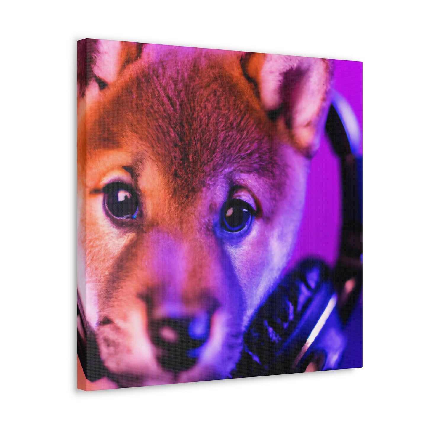 Bhatura Bhomo - Shiba Inu - Canvas