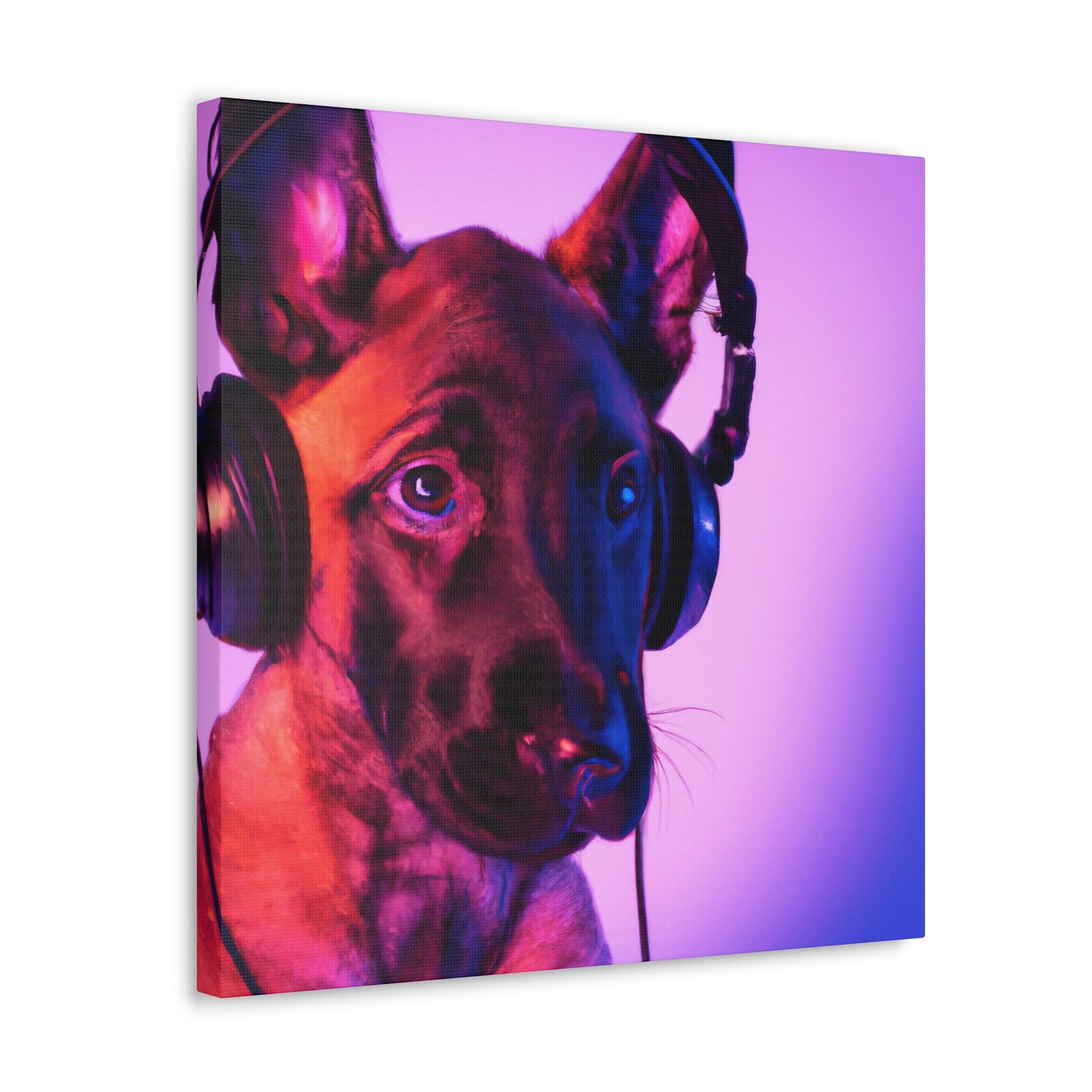 Countess Thalia of Flanders - Belgian Malinois - Canvas