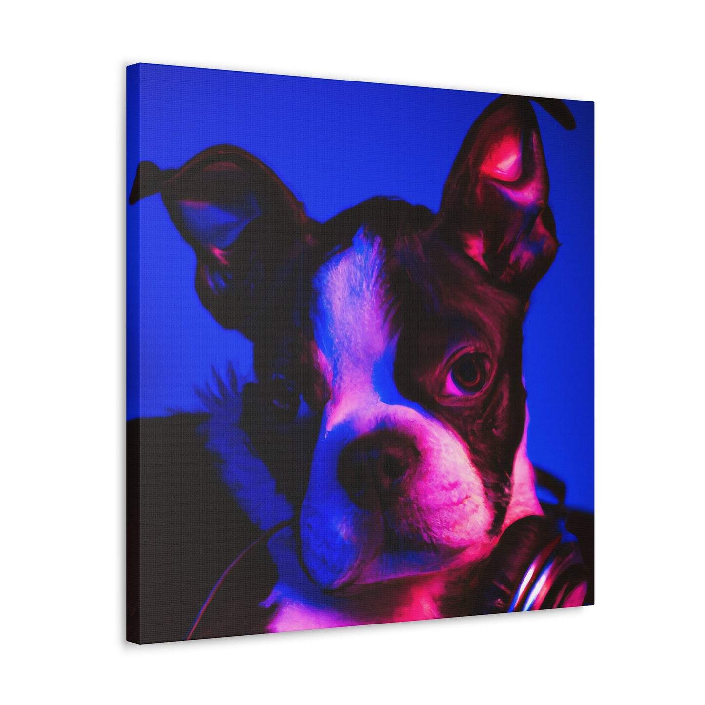 Princess Arabella of Boston - Boston Terrier - Canvas